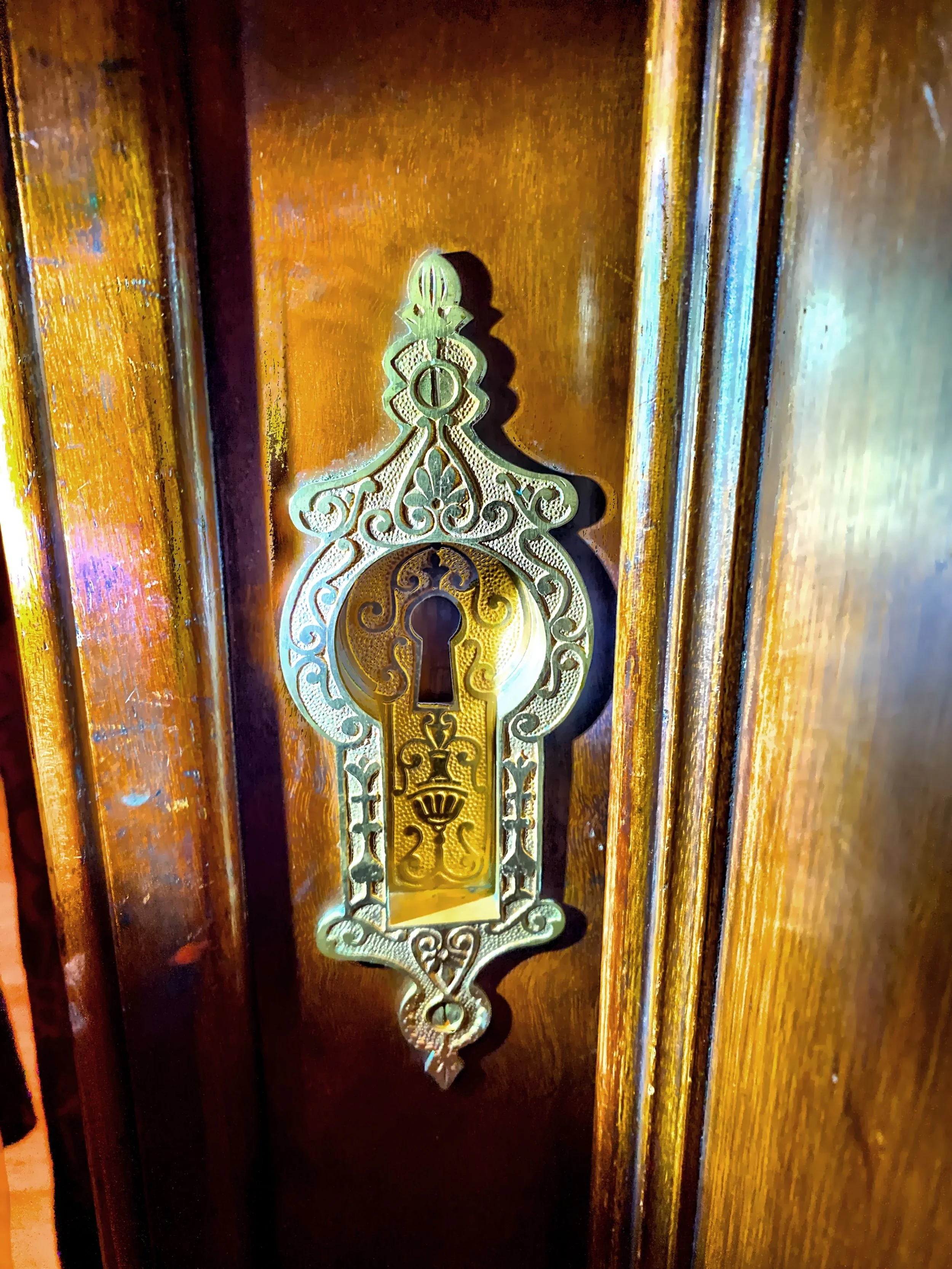  The hardware on the pocket doors leading to the Library 