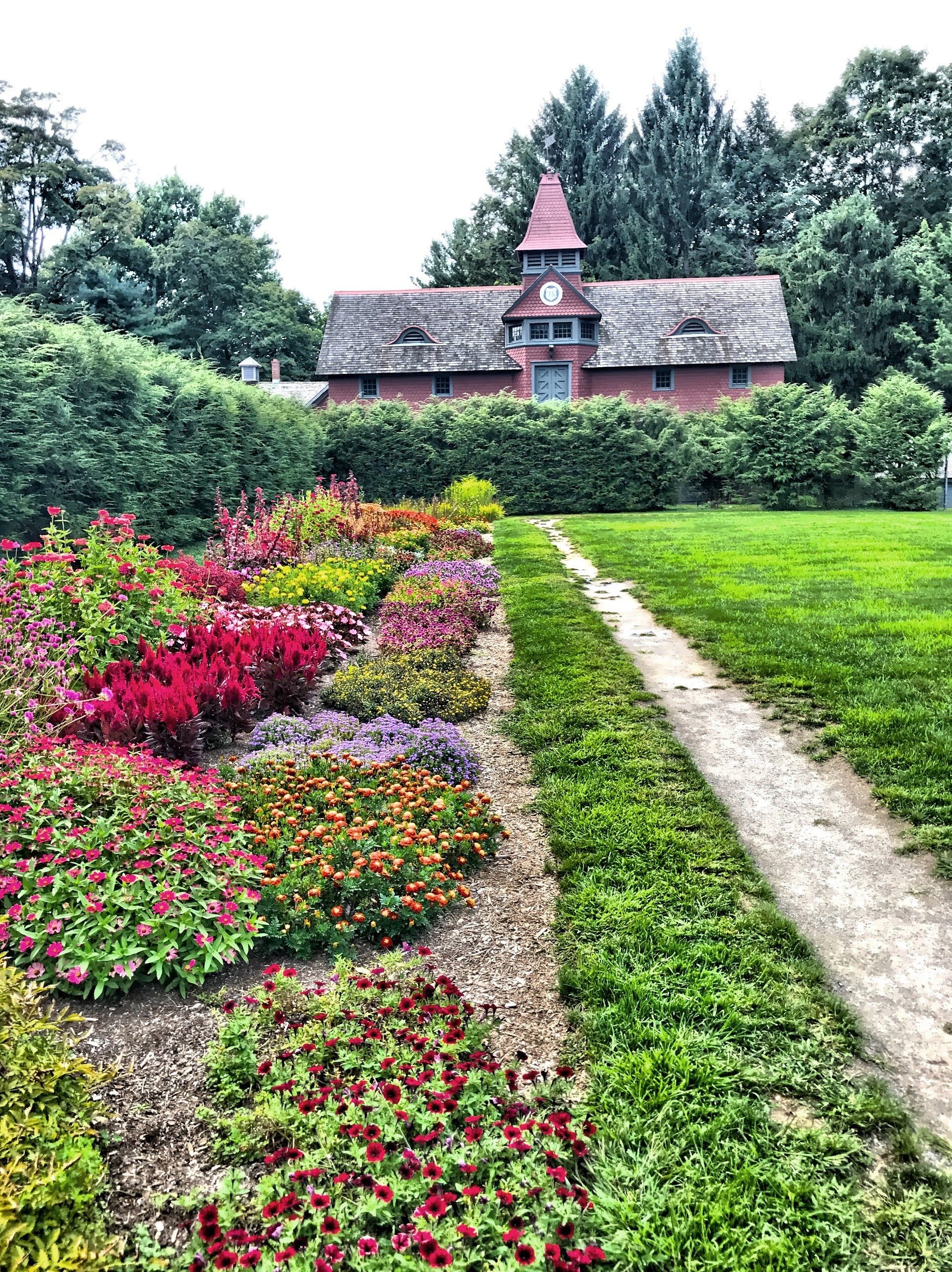  A garden view of the Coach House 