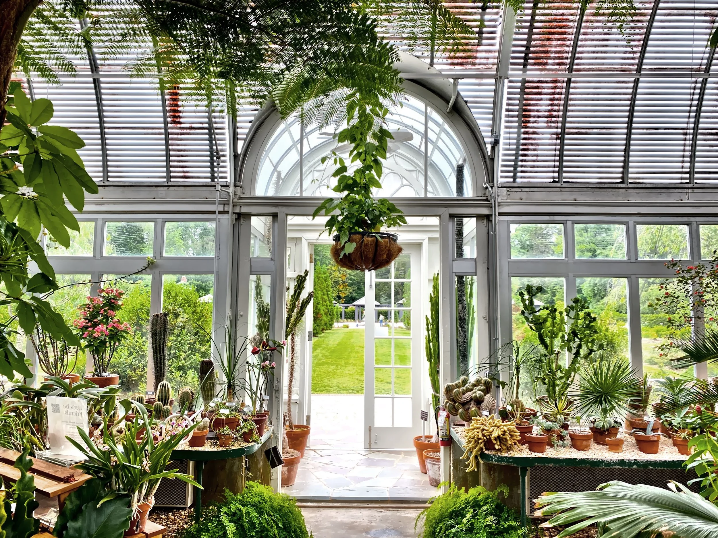  The main greenhouse 