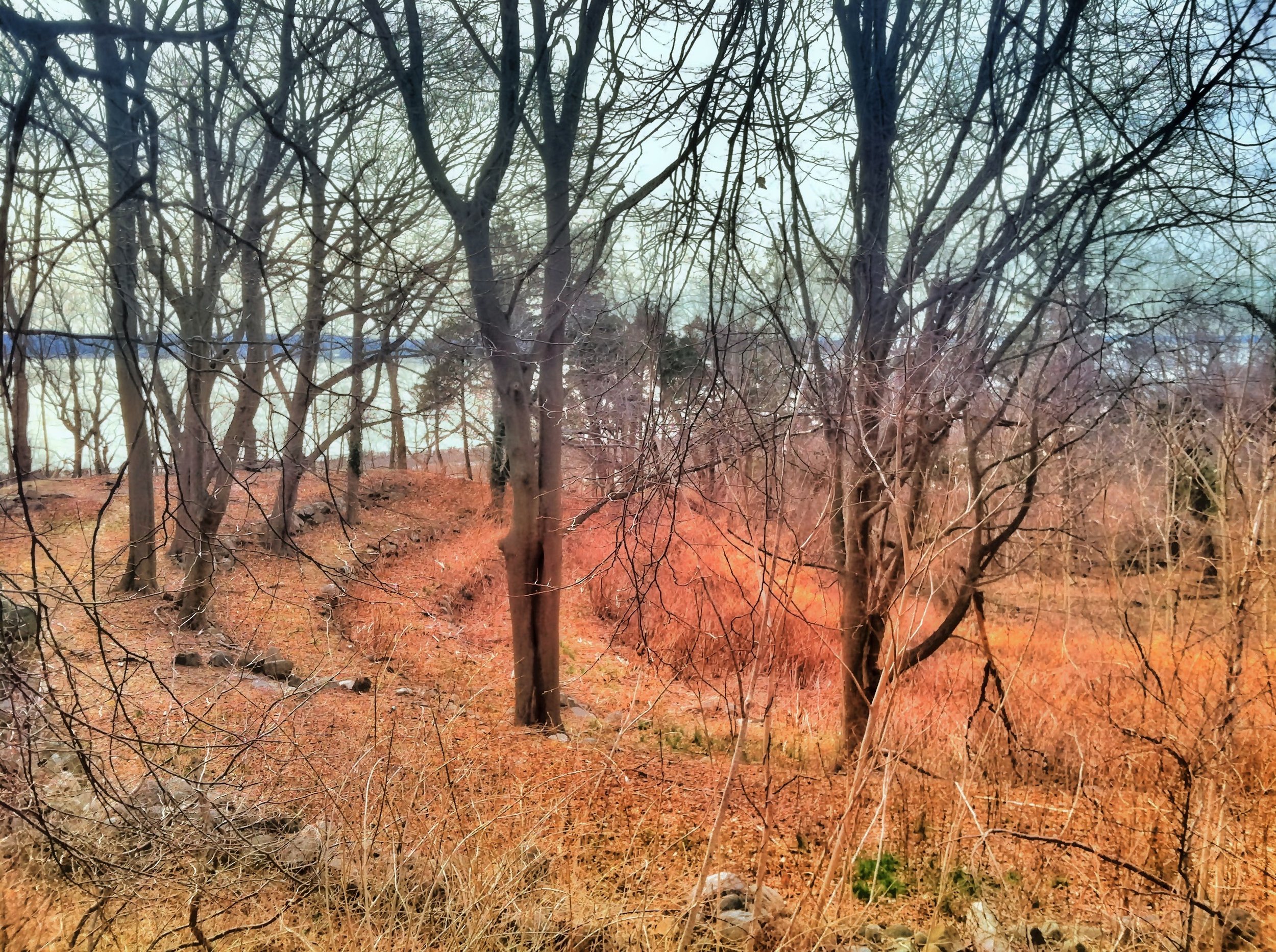 Druid Ruins And Amphitheater on Long Island - Remnants of Rosemary’s ...
