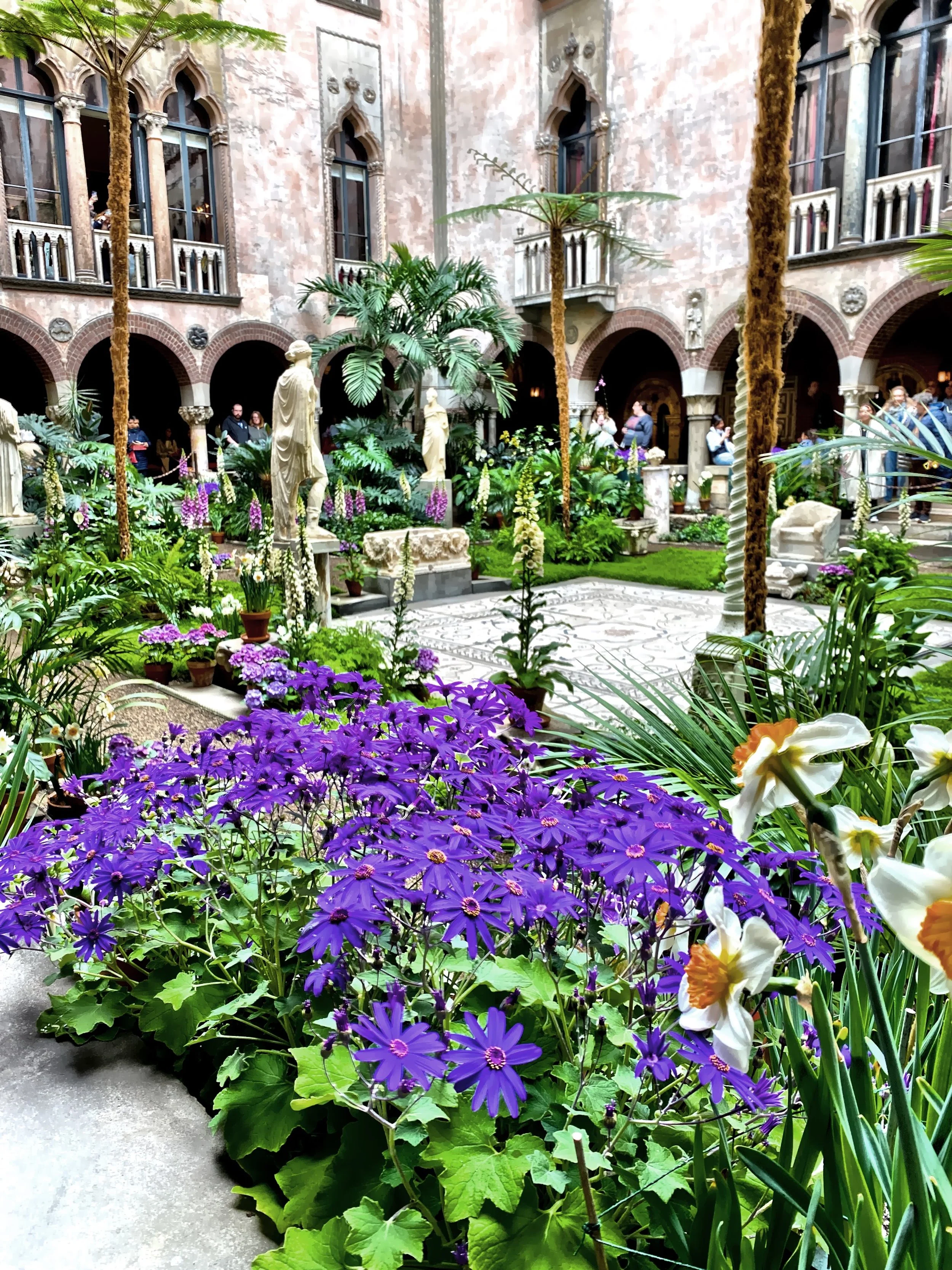  The skylights allow the courtyard plants to be in bloom all year long. 