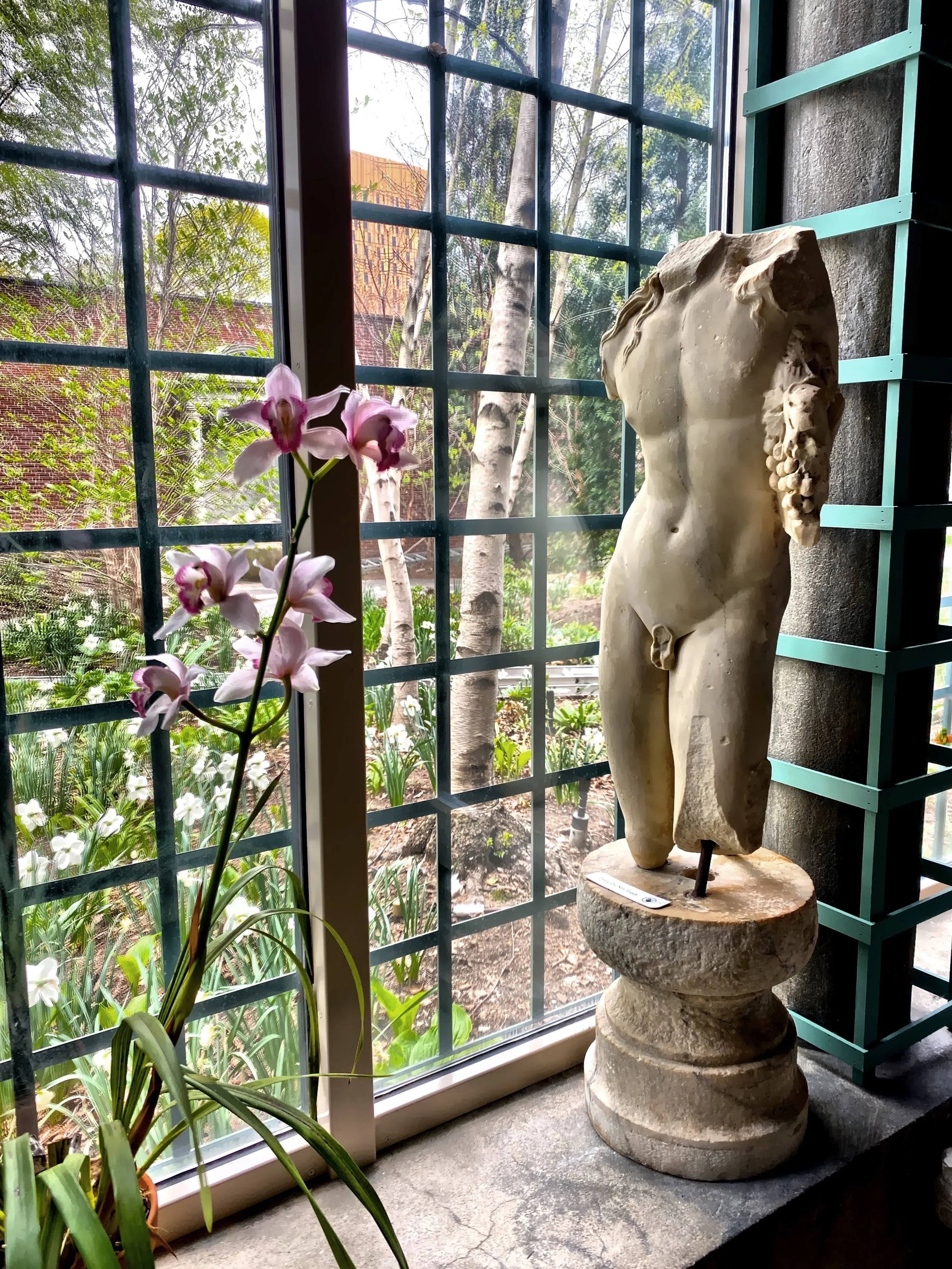  The torso of Dionysus in the Chinese Loggia 