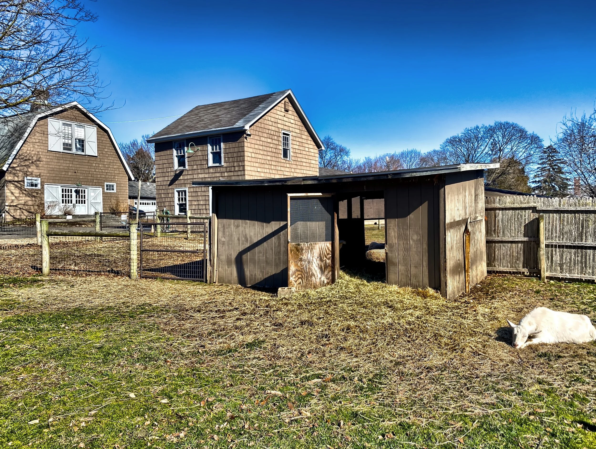  The farm is home to a variety of animals, such as sheep, goats, chickens, and pigs, which add to the authentic farm atmosphere. 