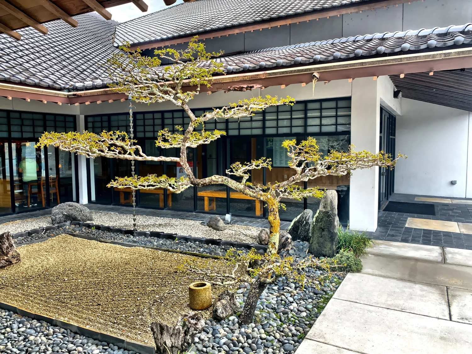 A Japanese Garden In South Florida - Morikami Garden — GET OUT N