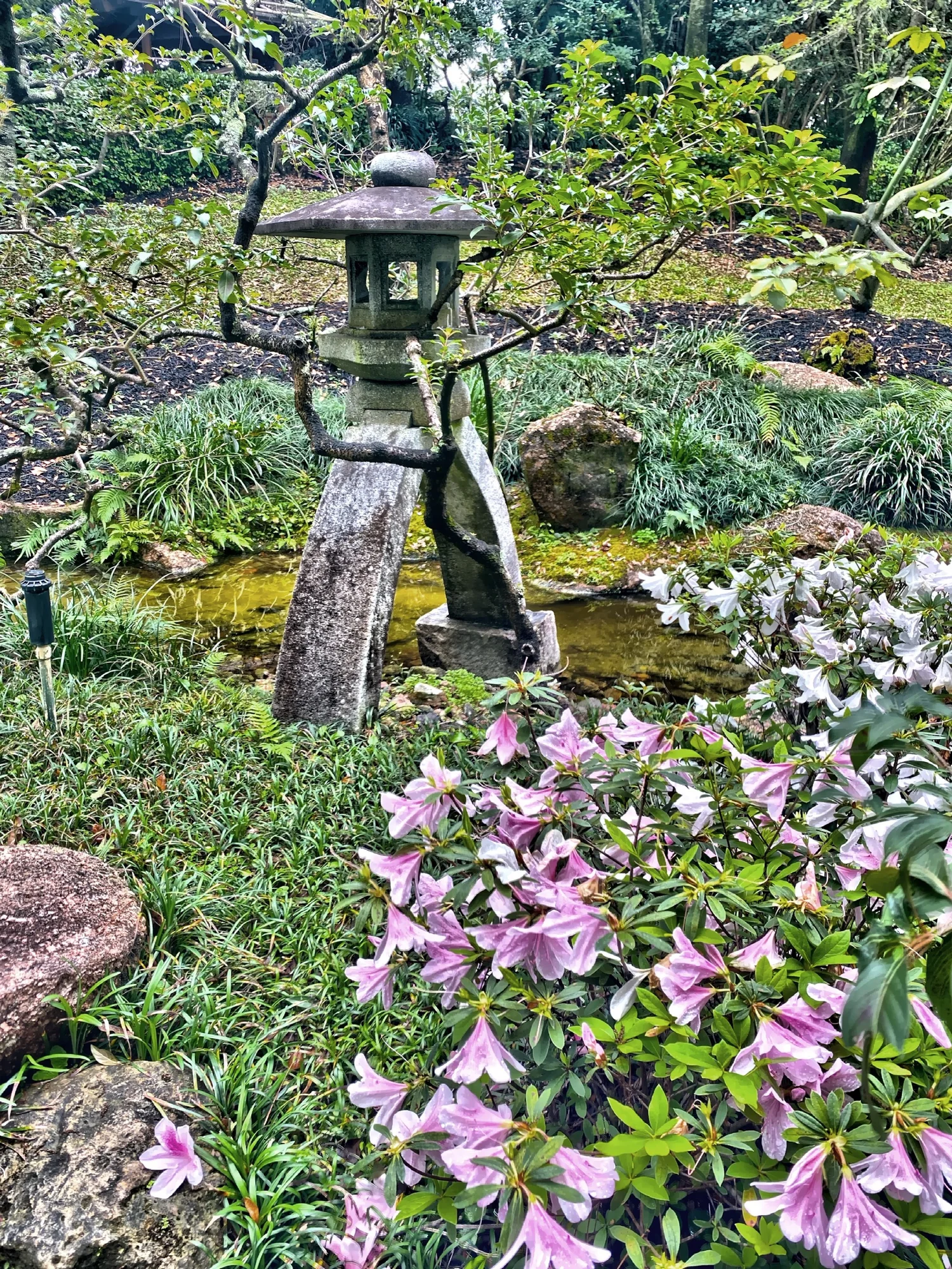 IMG_2955.JPG?format=1500w