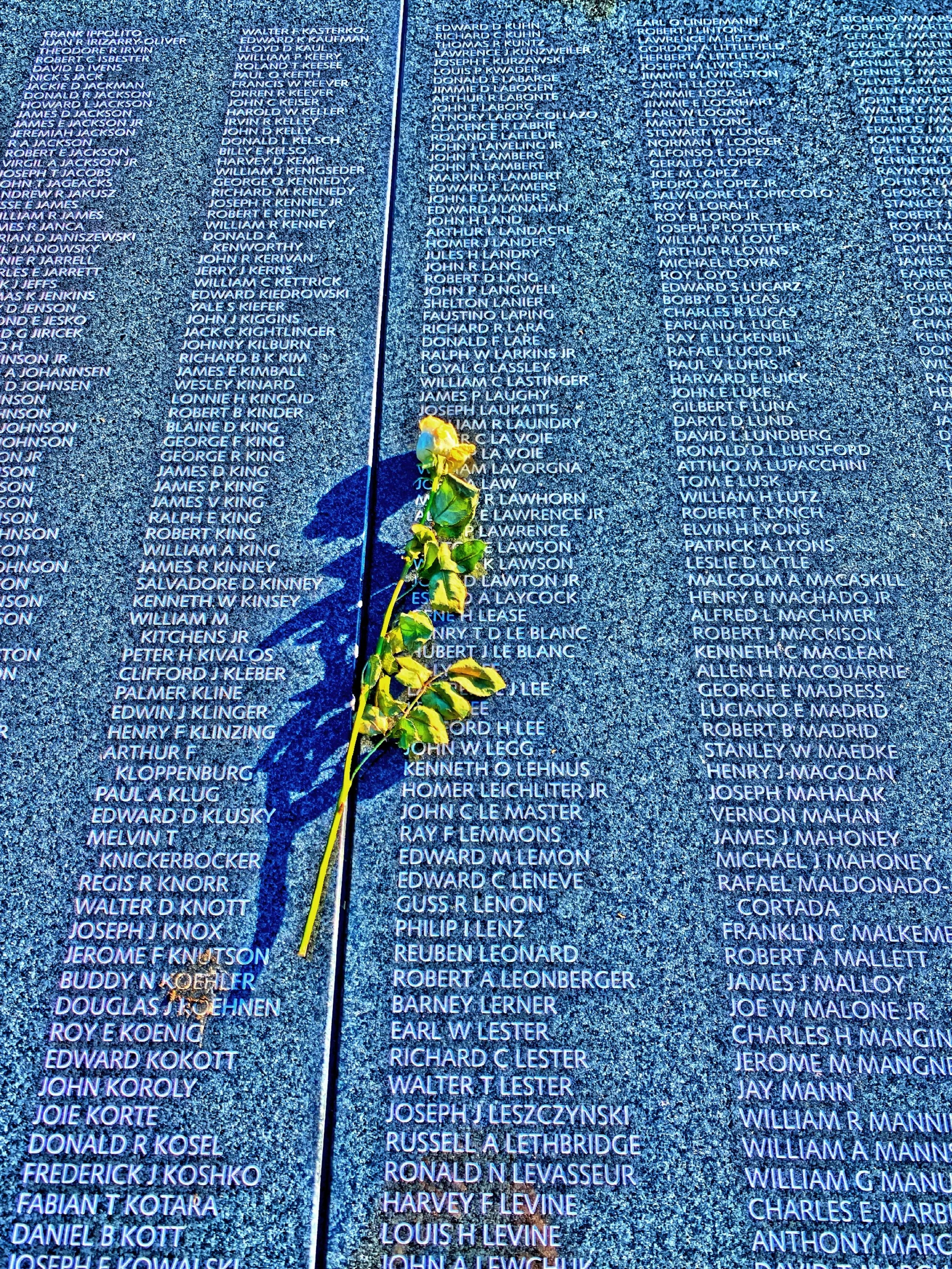  A single rose on the names list at the Korean War Memorial. 