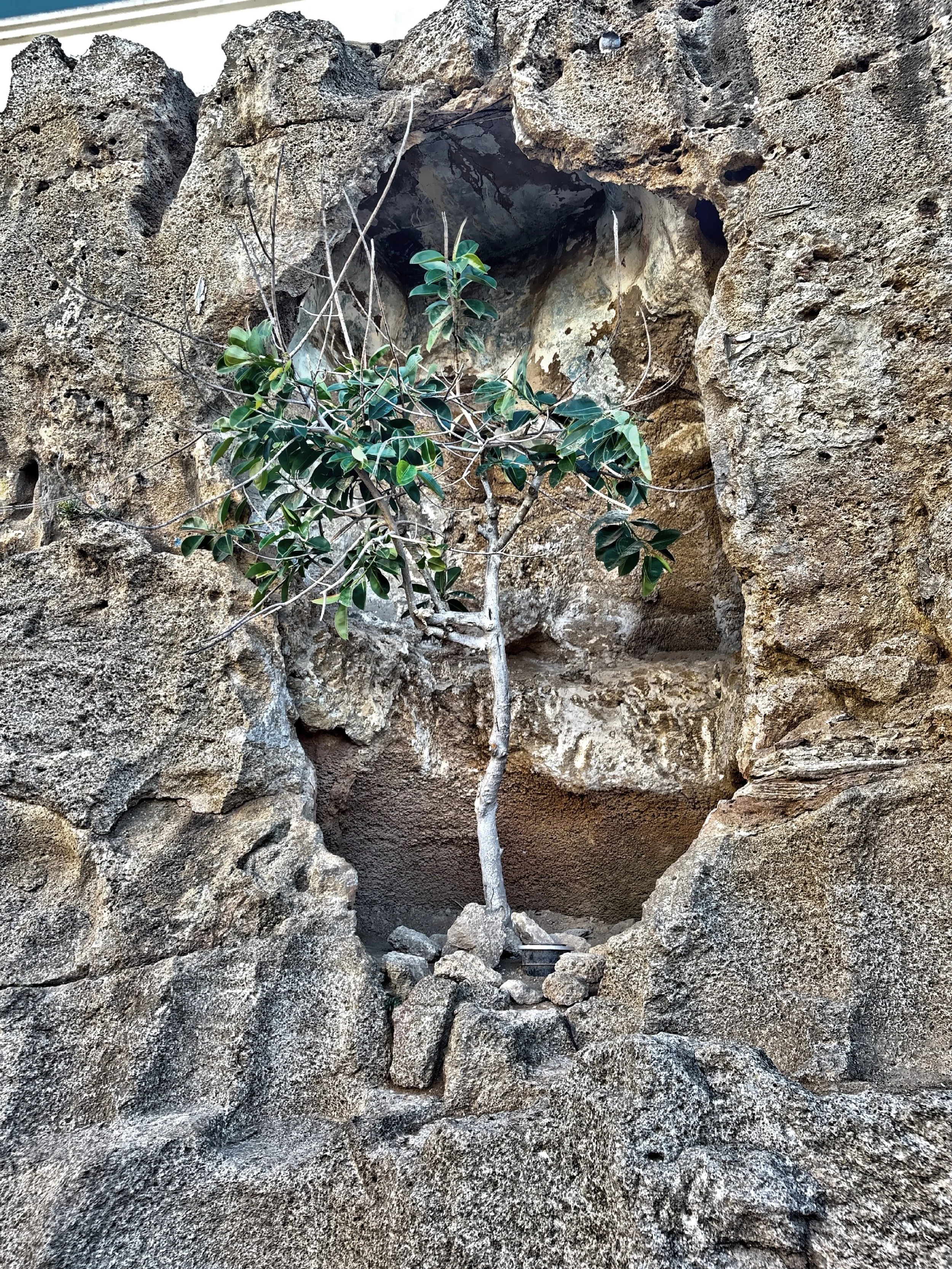  The Cave of Hercules is located about fifteen minutes outside of Tangier on the Atlantic Coast. 