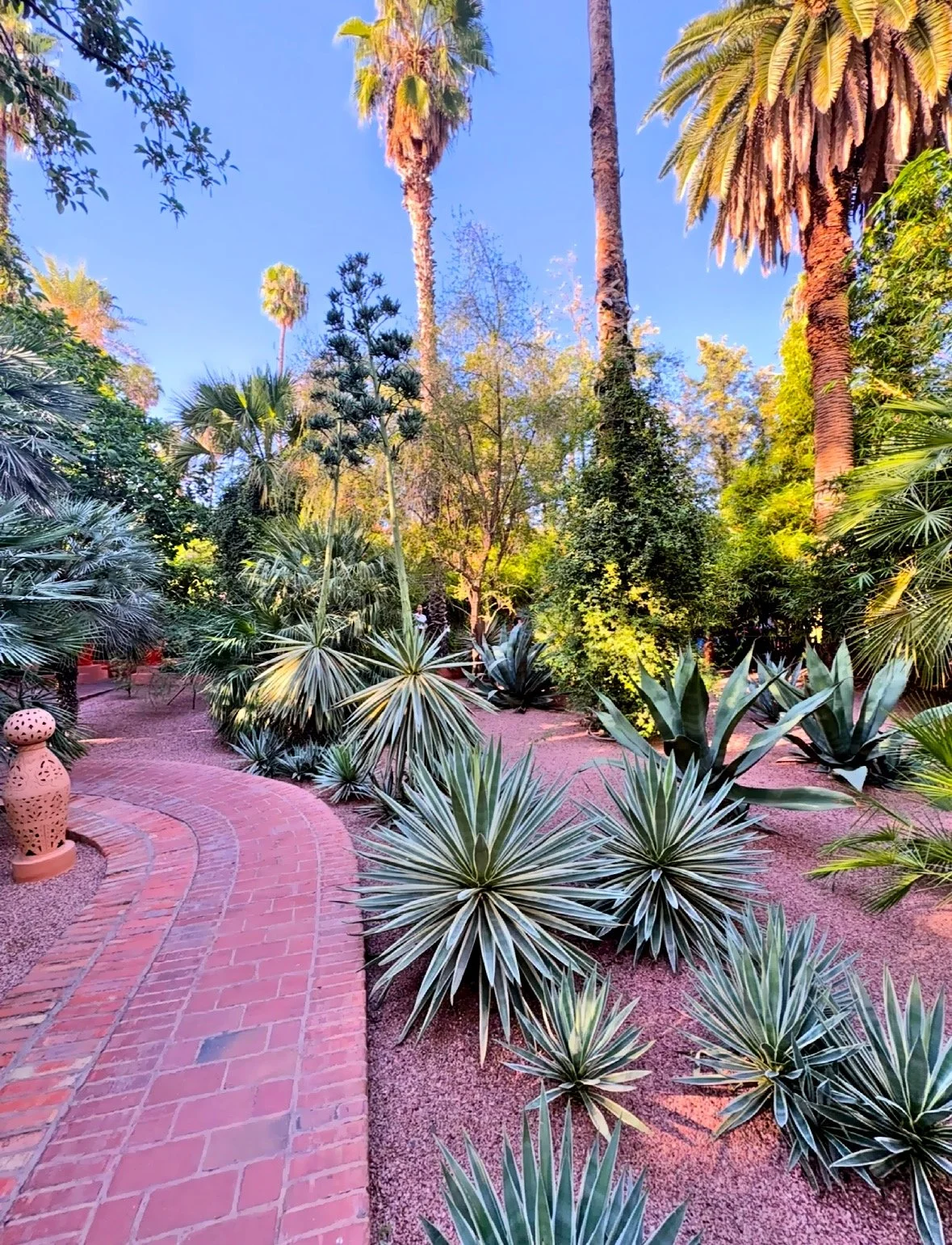  The Jardin Majorelle isn’t just a garden, it’s a place for reflection and inspiration. 