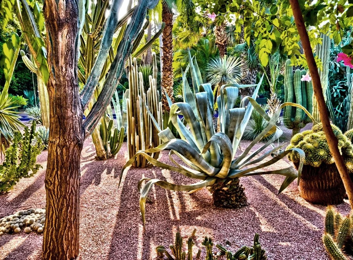  A visit here leaves you feeling calm and inspired. 