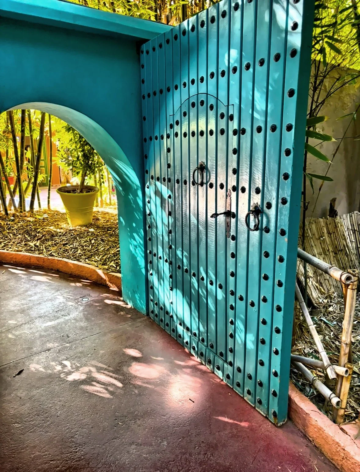  Bold and bright colors are found throughout the garden. 