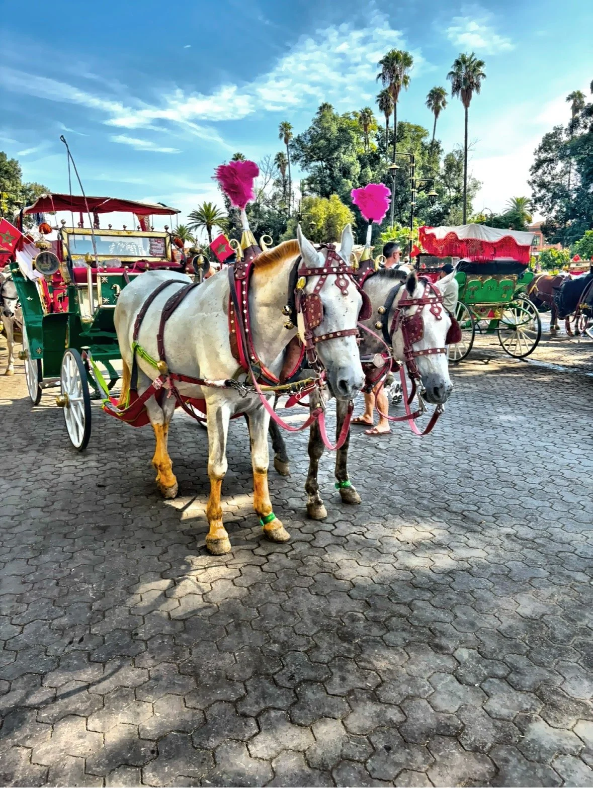  Colorful horse-drawn carriages. 