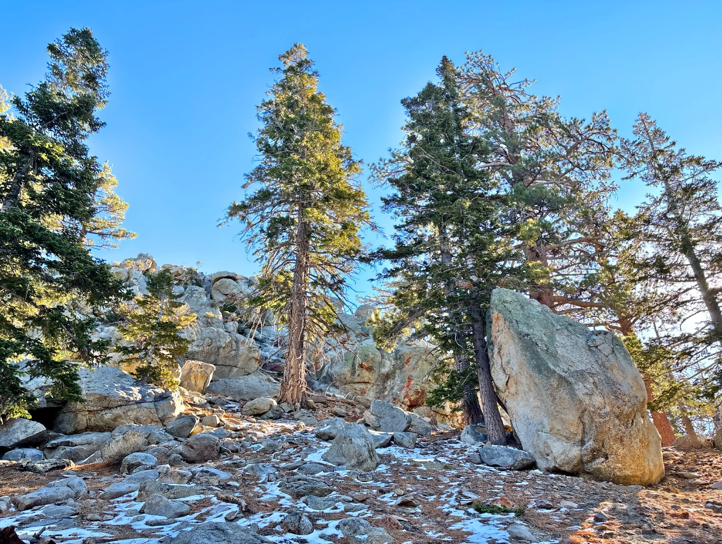  Mount San Jacinto State Park at the top of the mountain. 