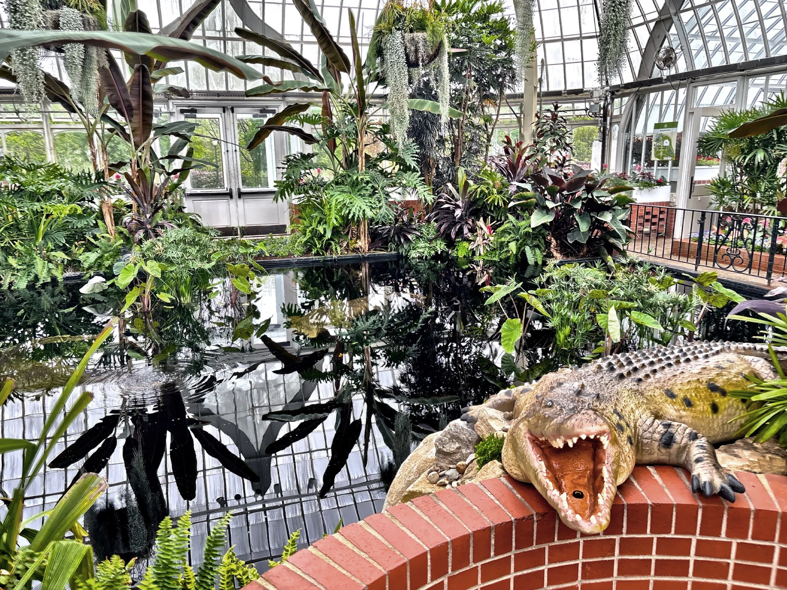  Inside the tropical forest conservatory.  An alligator here is part of the Jungle Quest show. 