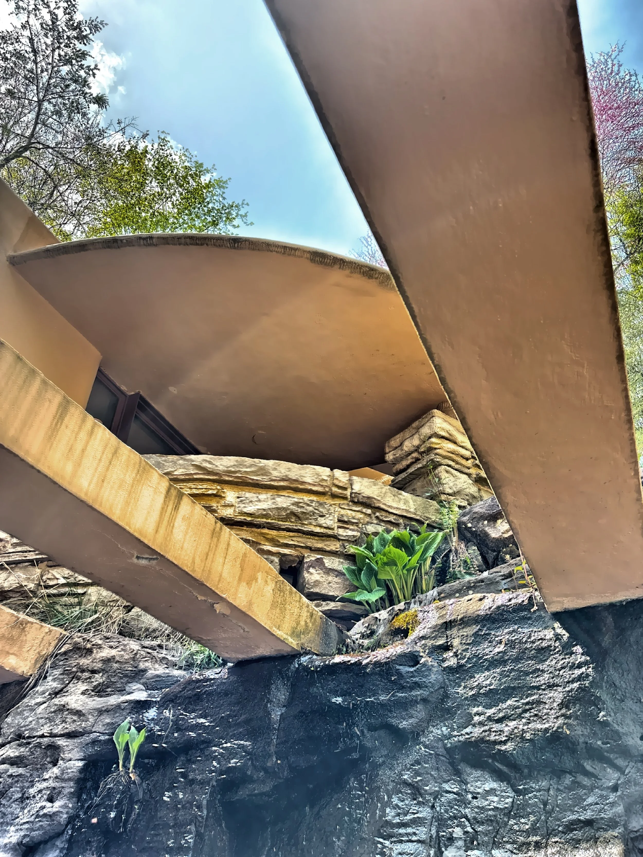  The entry area looking up towards the guest house. 