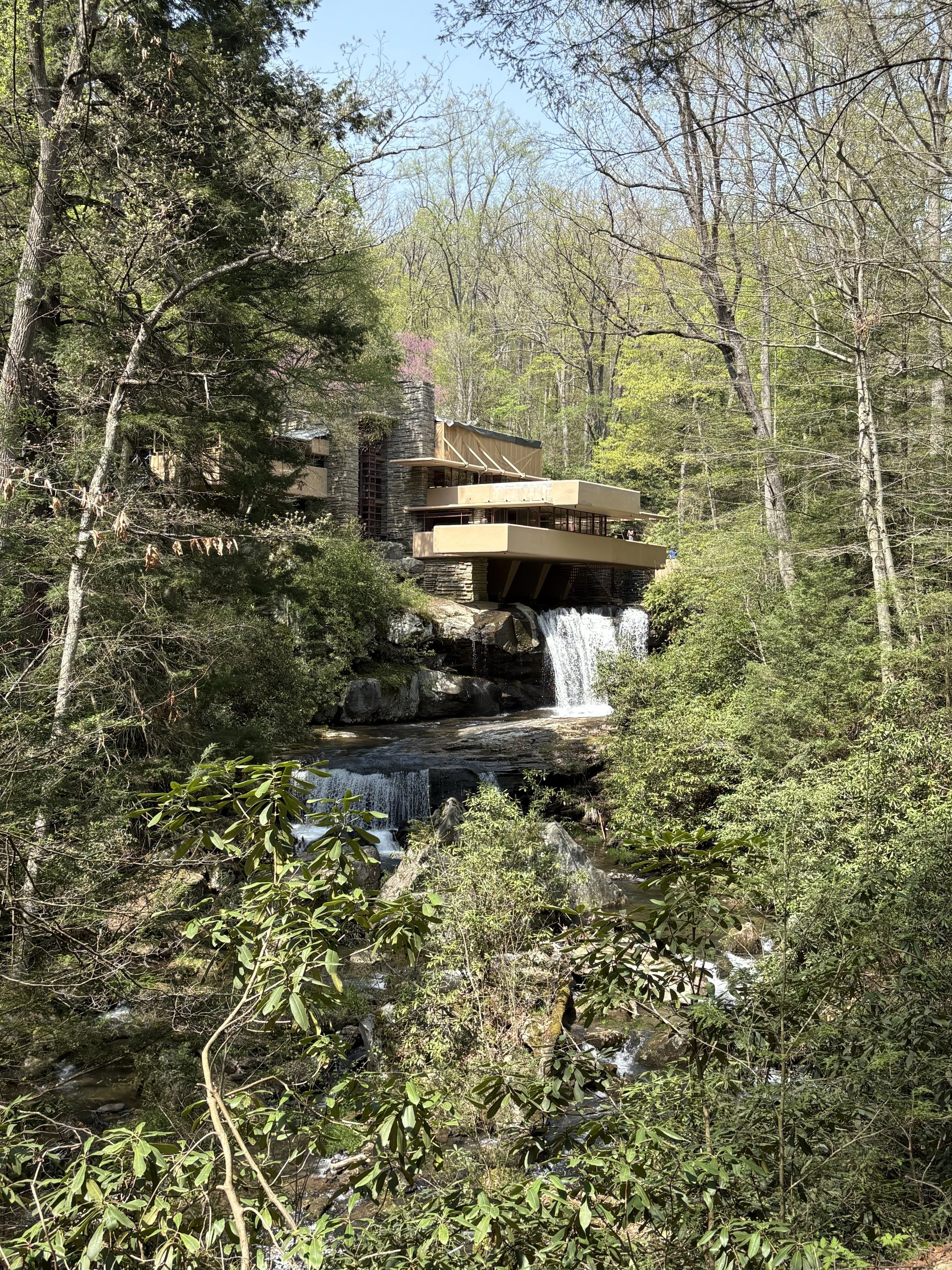  This is the classic view of Fallingwater, taken from below the main house and looking back at it through an opening in the trees. 