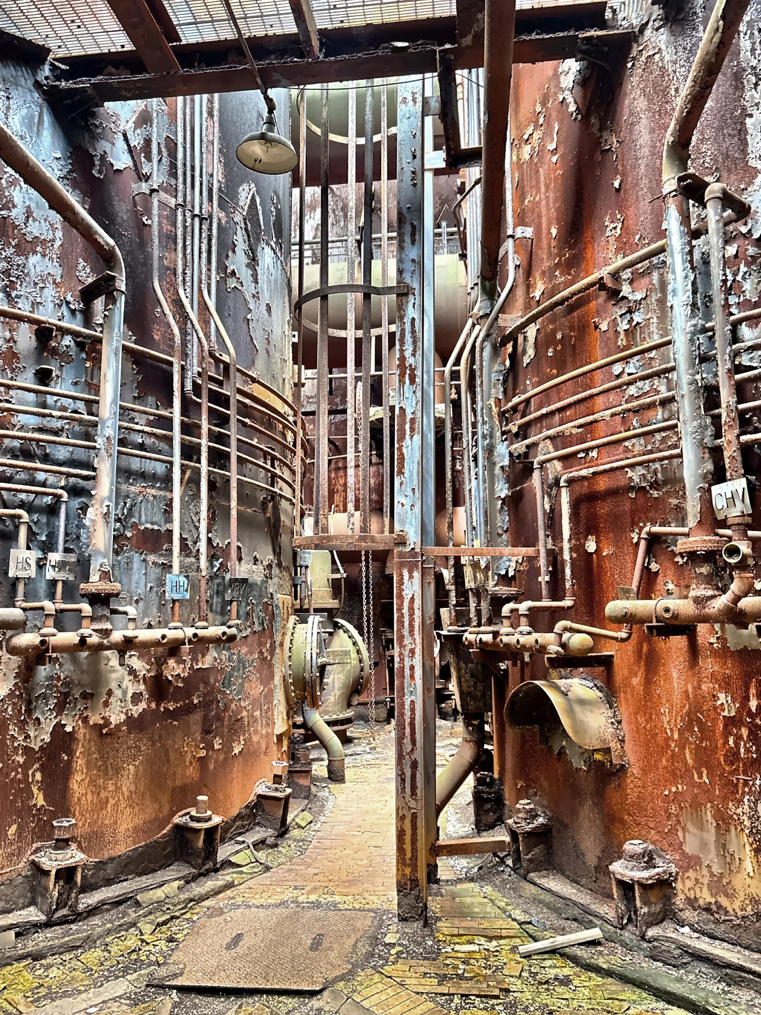  The textures of rust, peeling paint, and wild vegetation growing through cracks offer a hauntingly beautiful scene. 