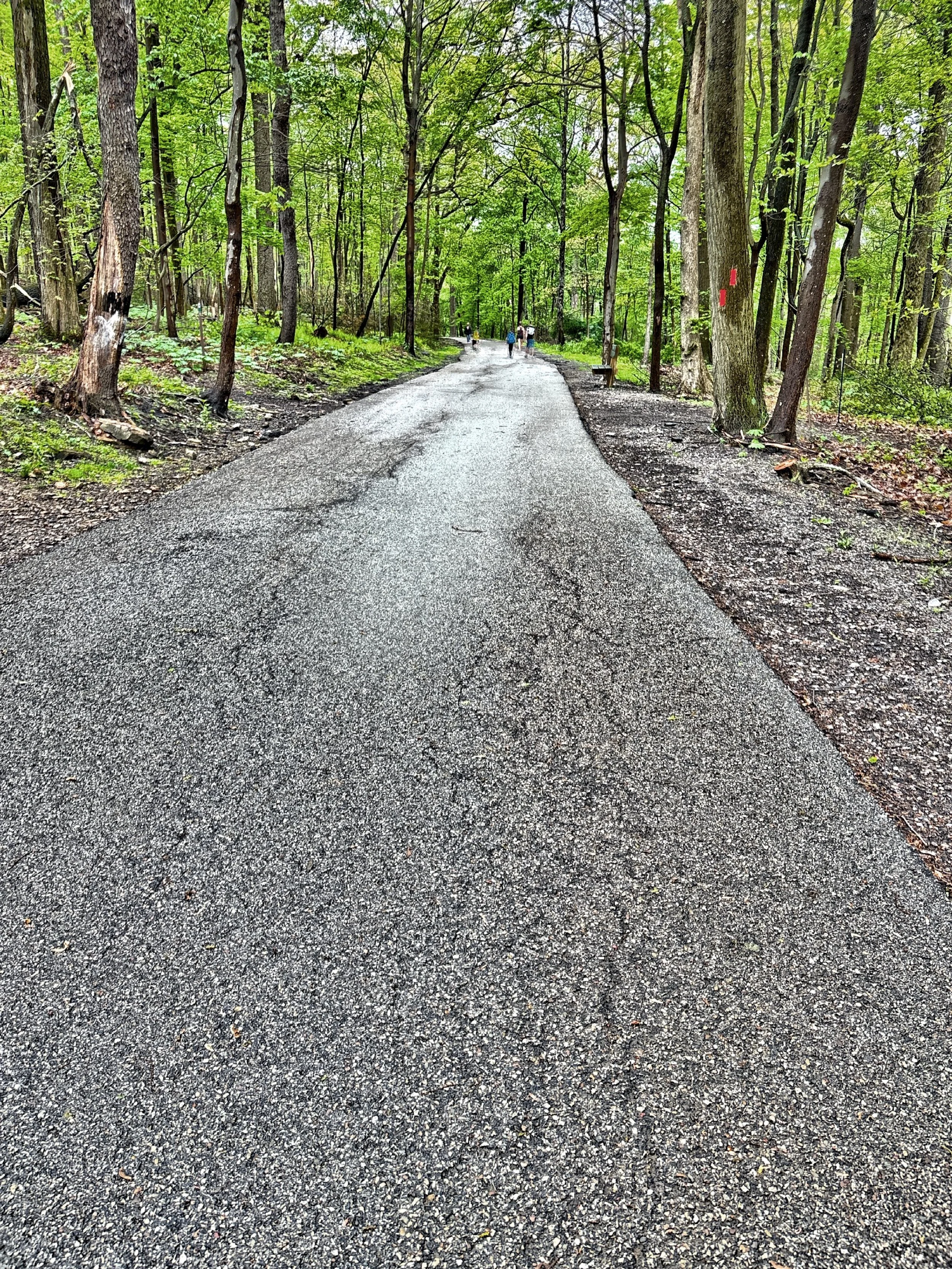  Hartwood Acres offers 30 miles of trails for horseback riding, walking, hiking, biking, and cross-country skiing.&nbsp; 