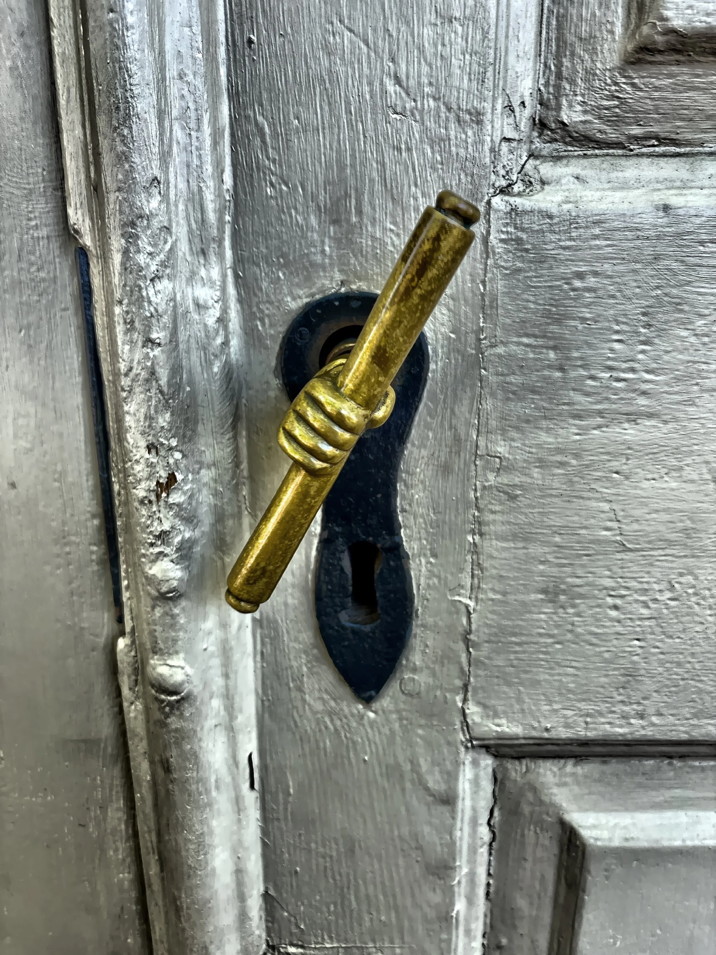  A decorative door handle 