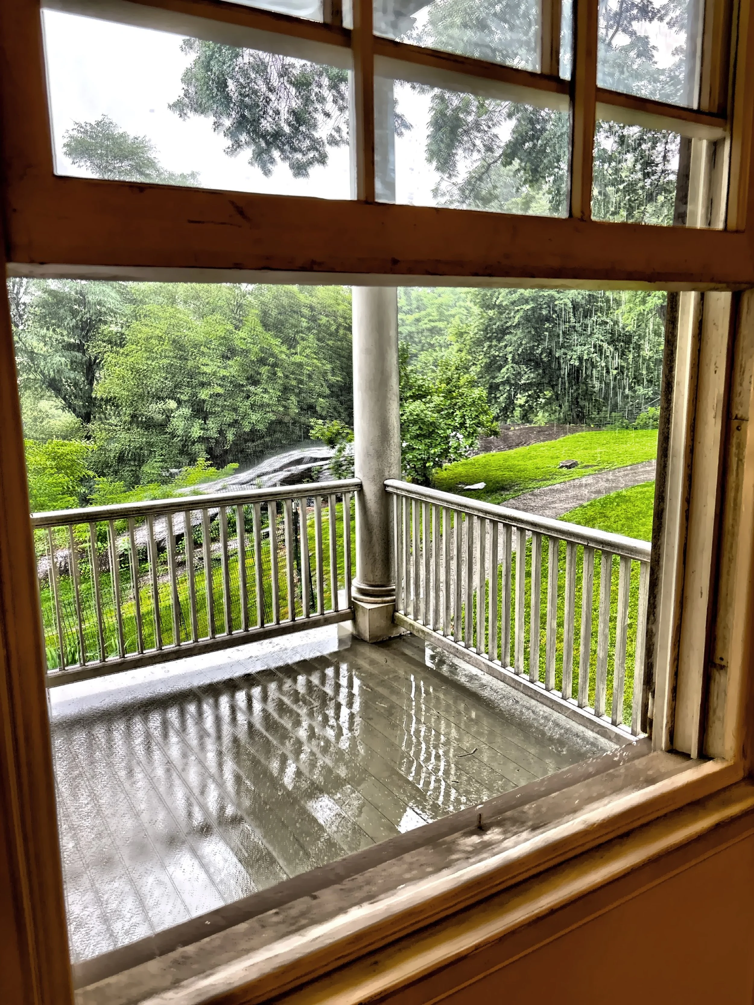  Looking out the window with a view of St. Nicholas Park. 