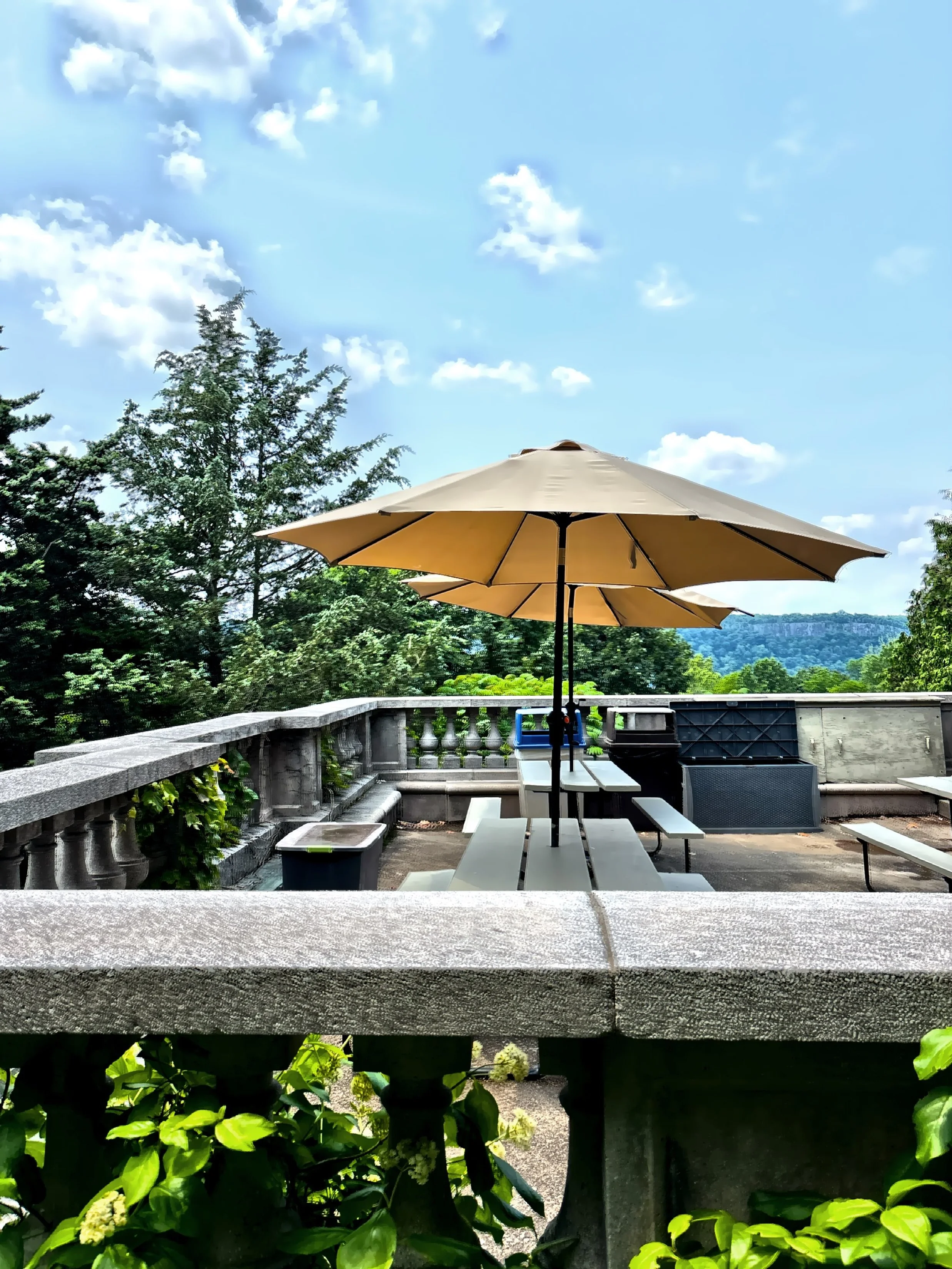  One of several designated picnicking areas. 