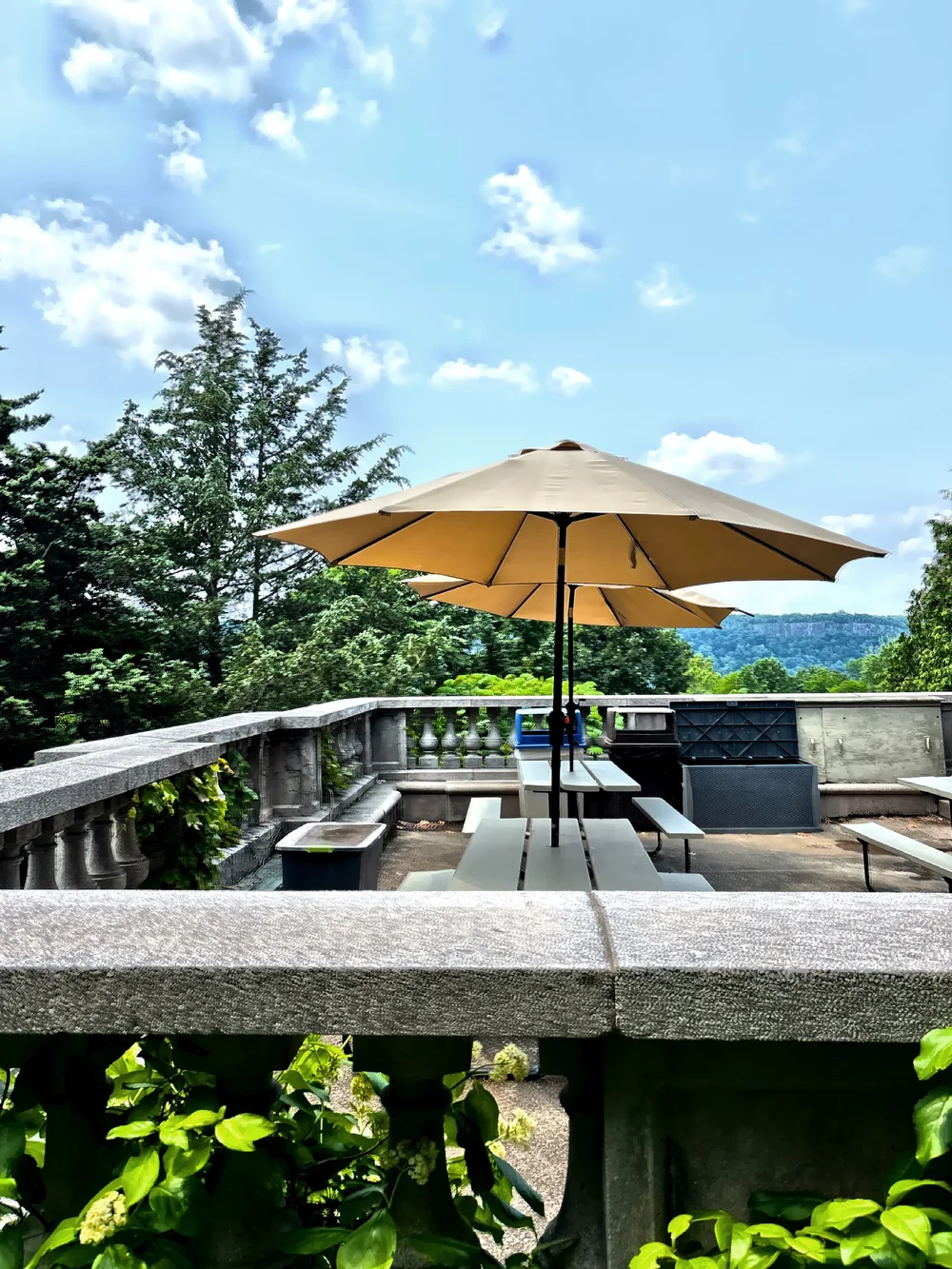  One of several designated picnicking areas. 