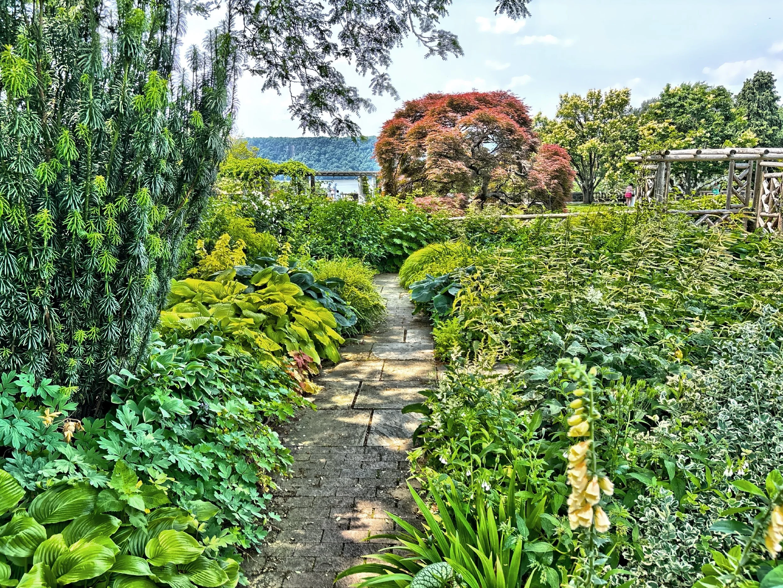 Wave Hill is 28 acres of gardens and woodlands situated on a high ridge above the Hudson River. 
