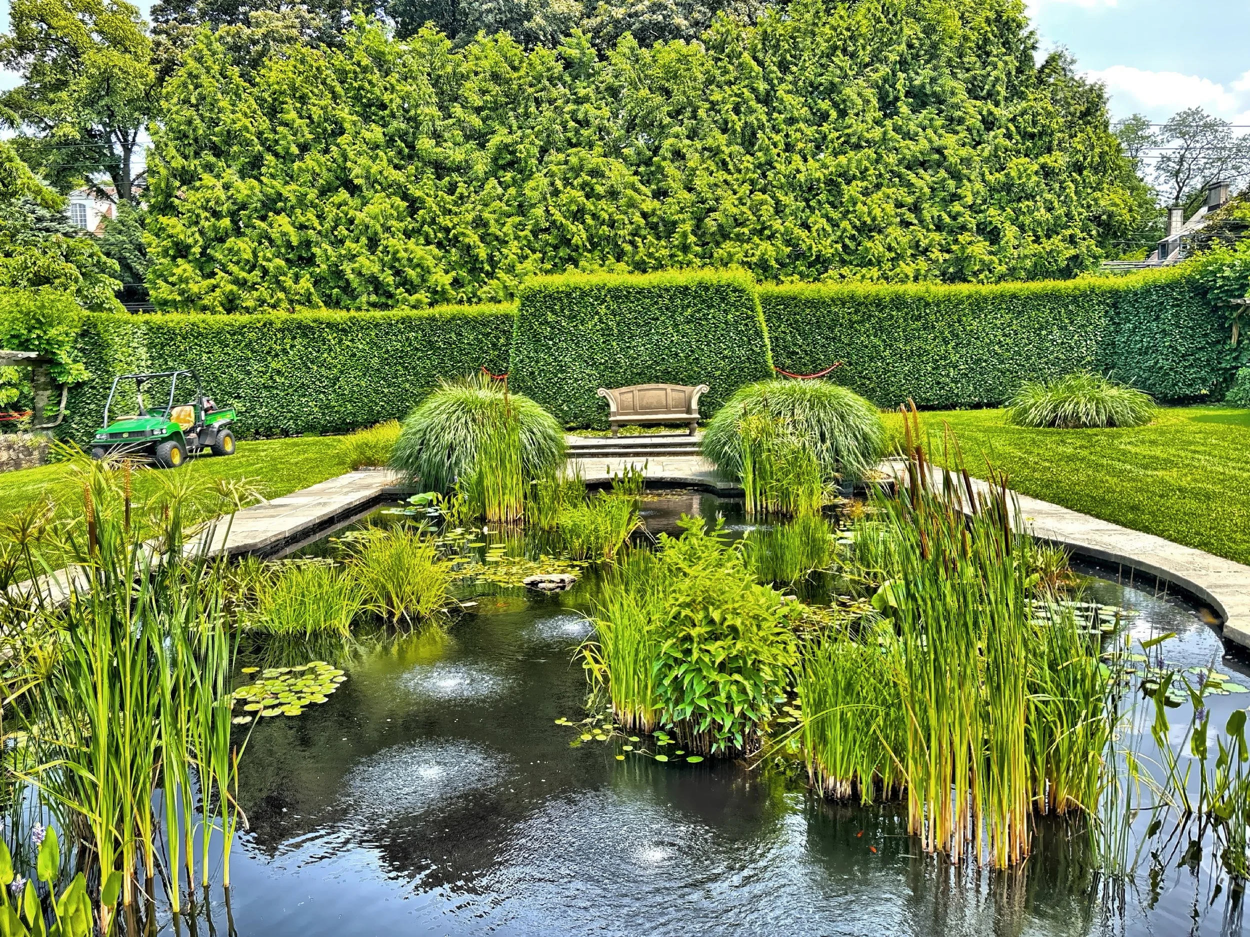  The Aquatic &amp; Monocot Garden features water-loving plants and monocots. 