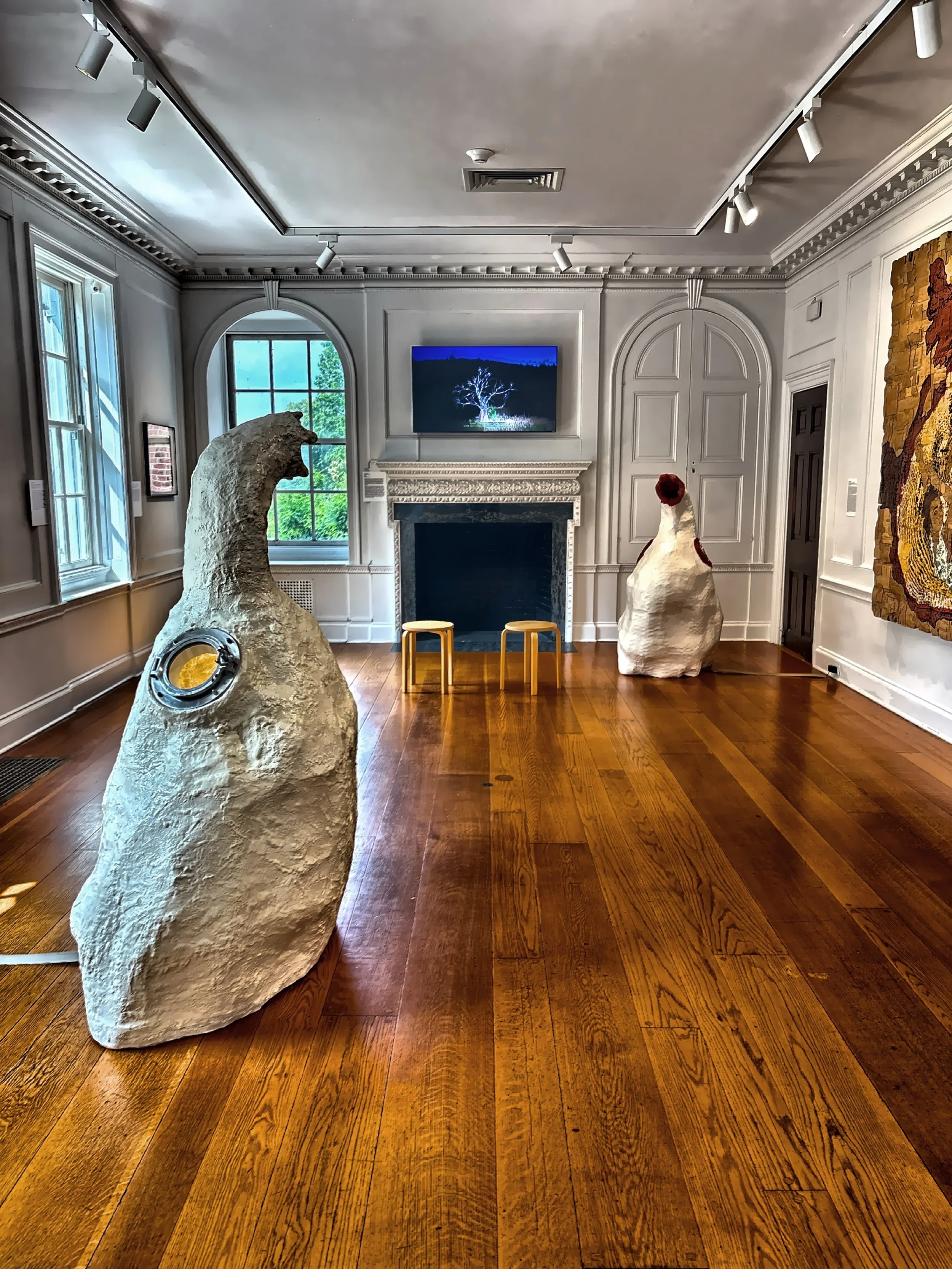  Glyndor House features rotating visual arts exhibitions inspired by nature. 