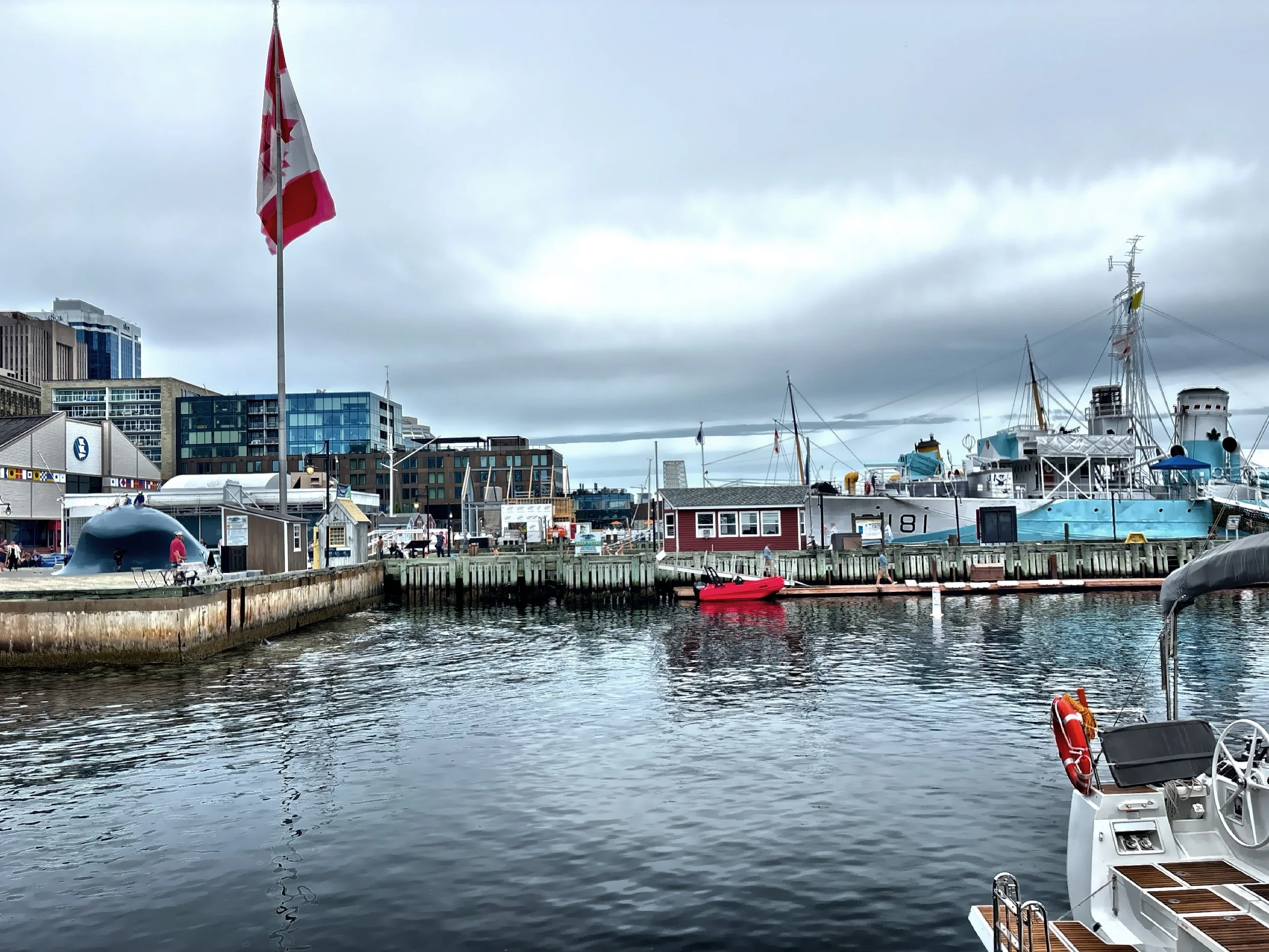 IMG_5367.JPG