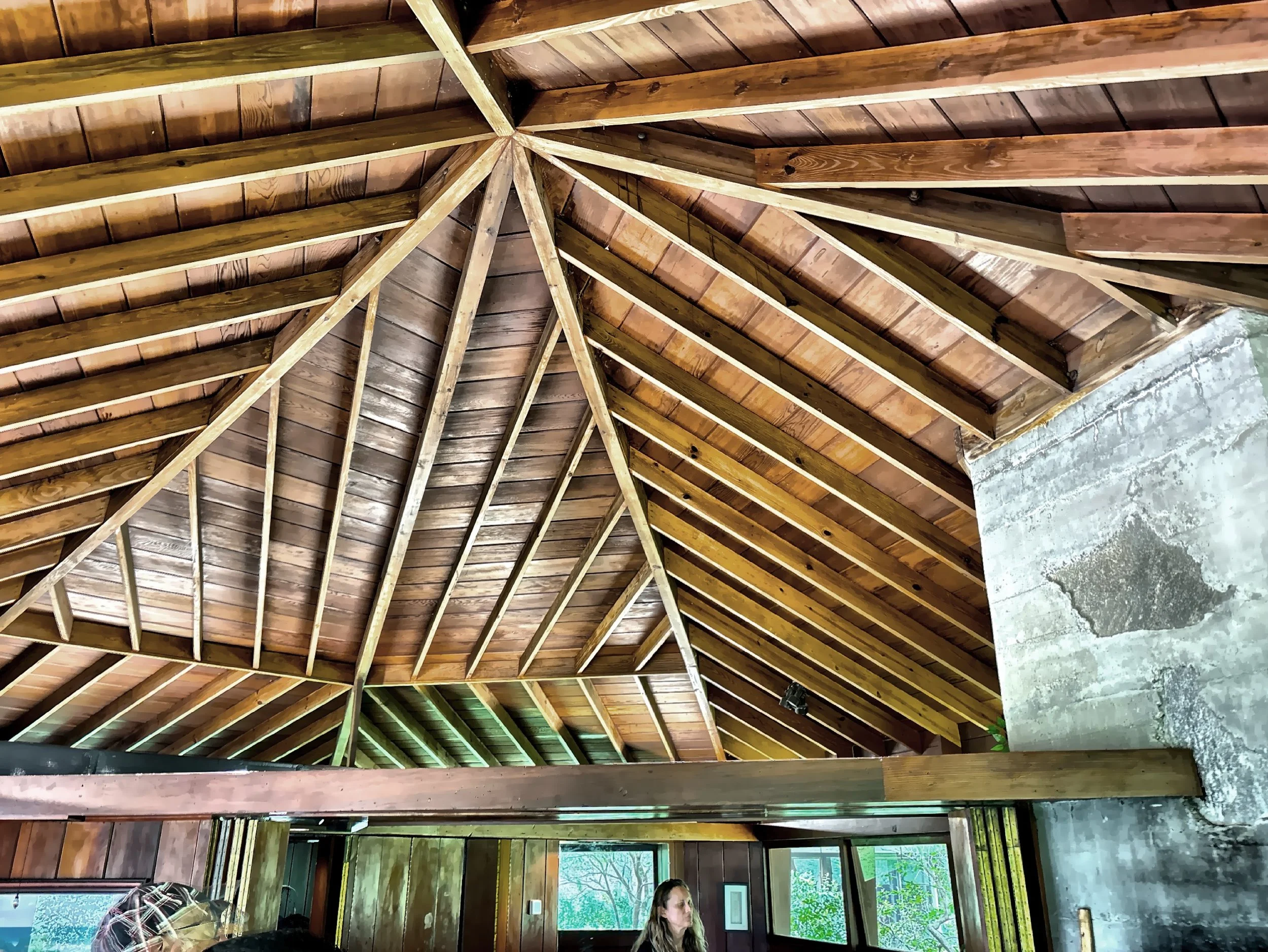  The ceiling of the guest cottage. 