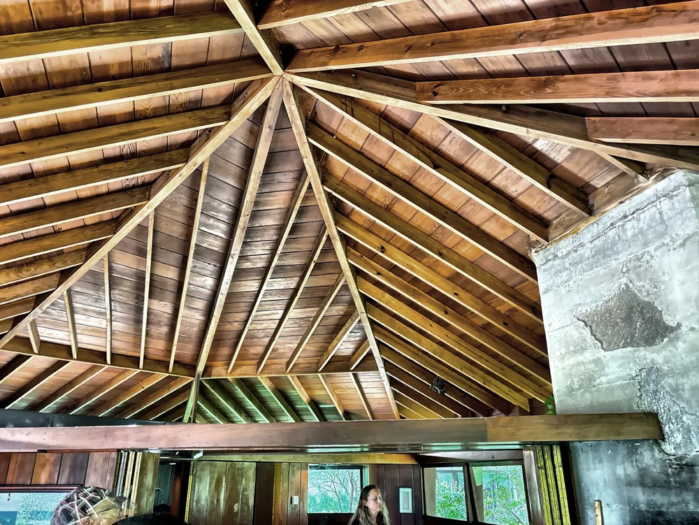  The ceiling of the guest cottage. 