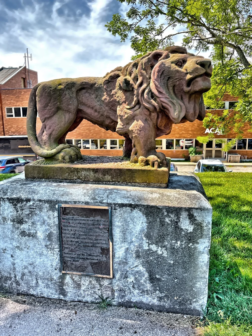  This lion statue once stood proudly atop the Royal Bank of Canada building at Charlotte and Dorchester Streets from 1901 to 1976, and now stand near the waterfront. 