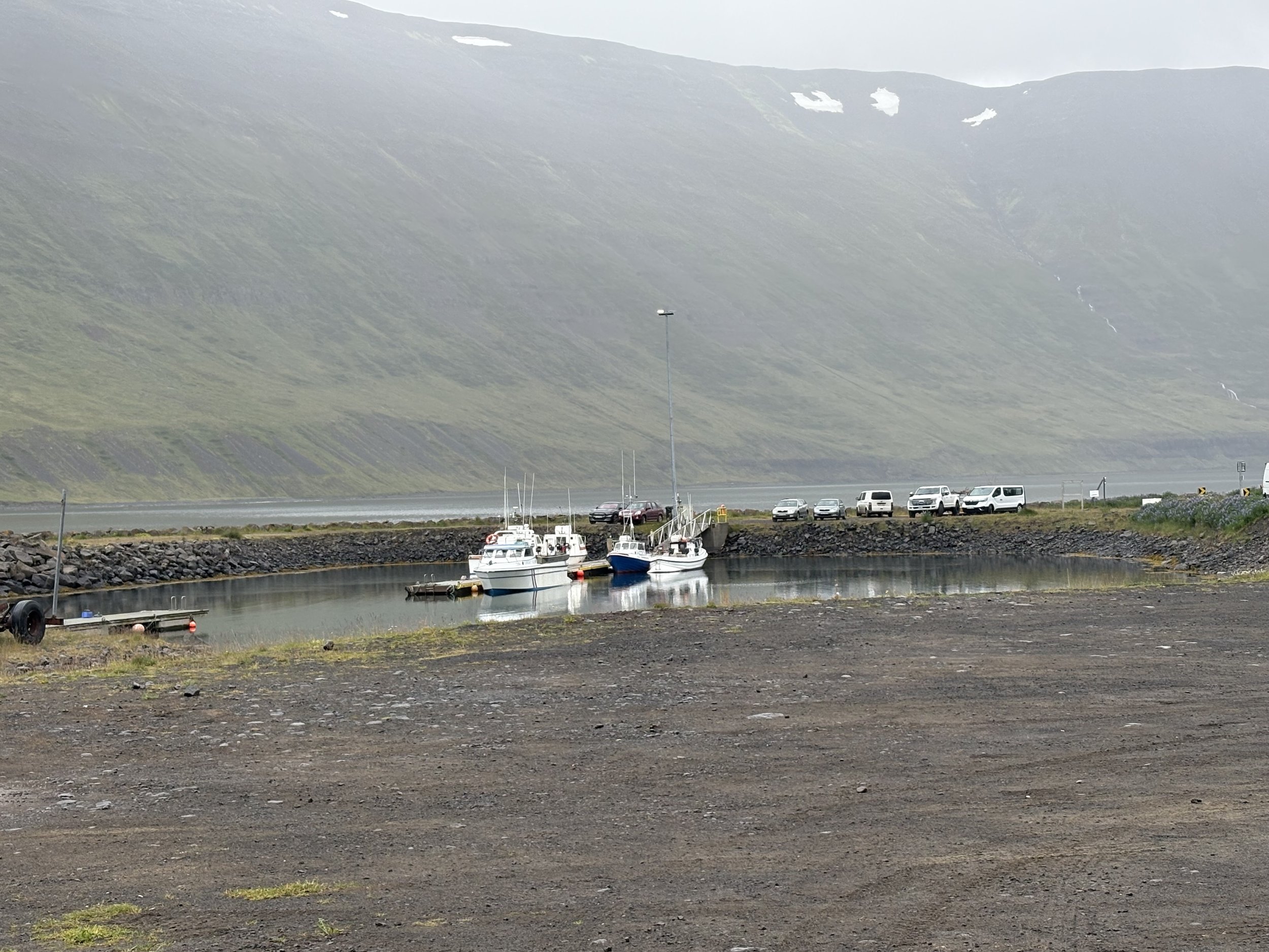 IMG_4856.jpg