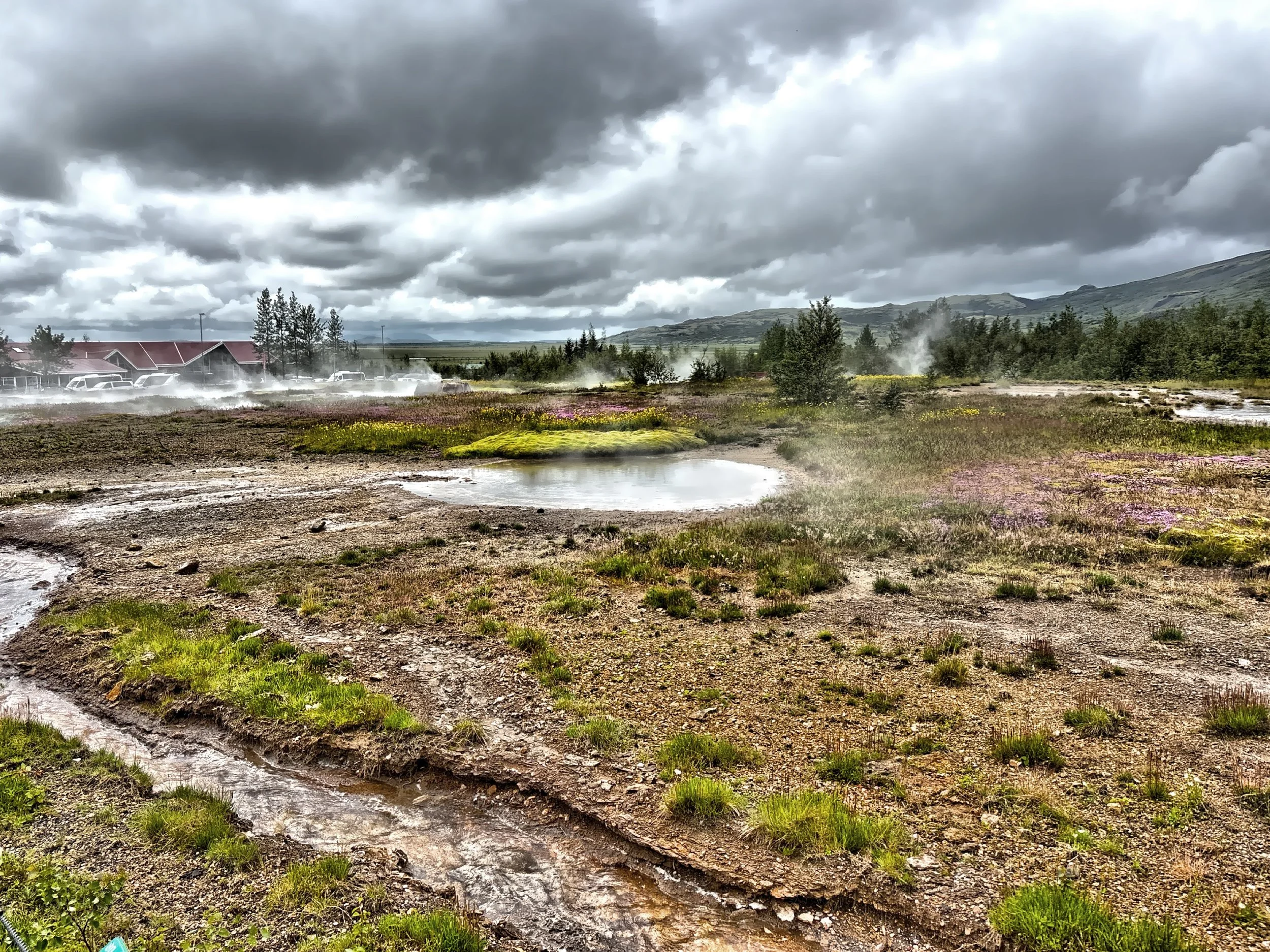  The geothermal fields 