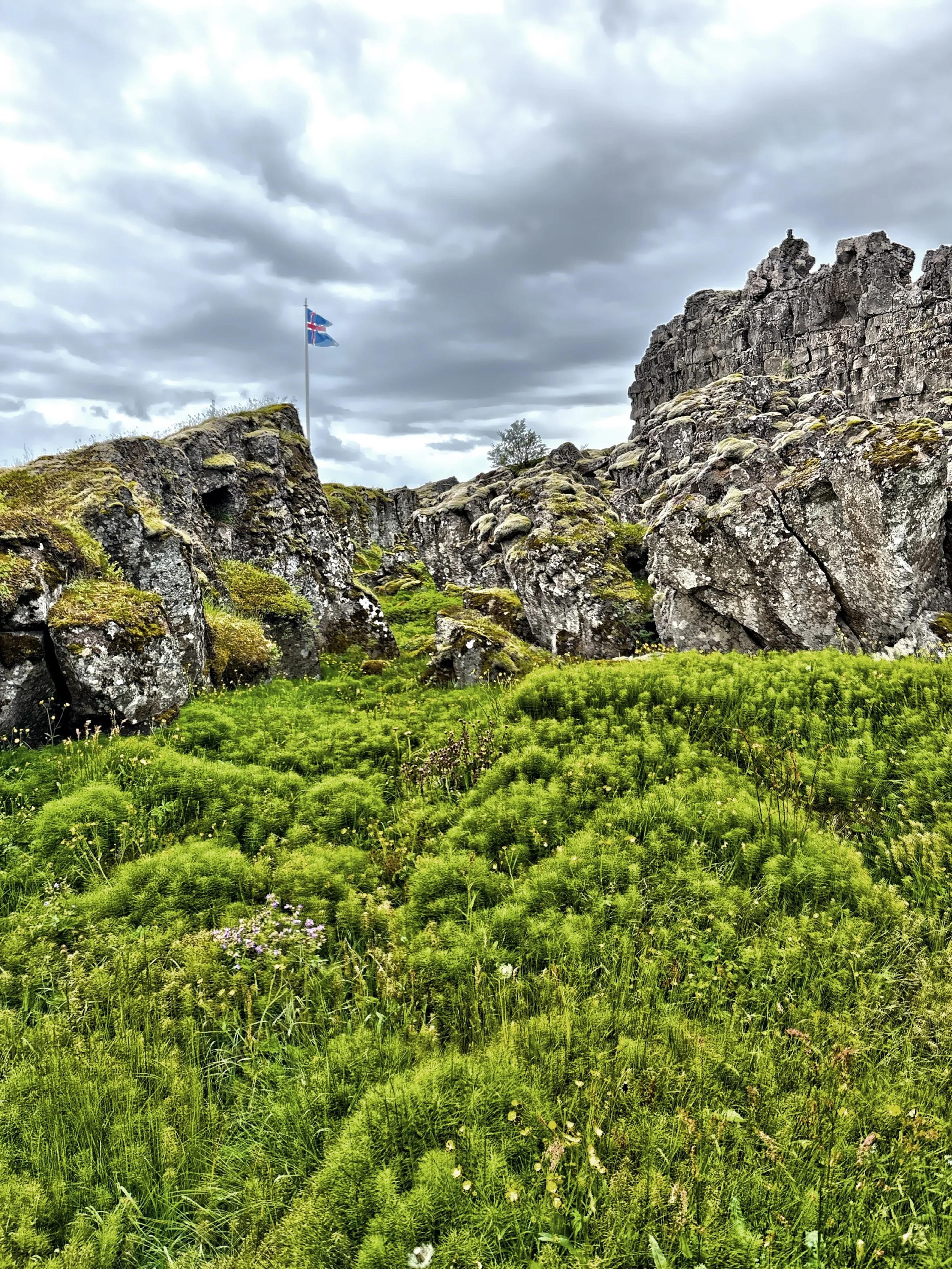  Towering cliffs frame a wide valley with crystal-clear streams and rocky outcrops. 