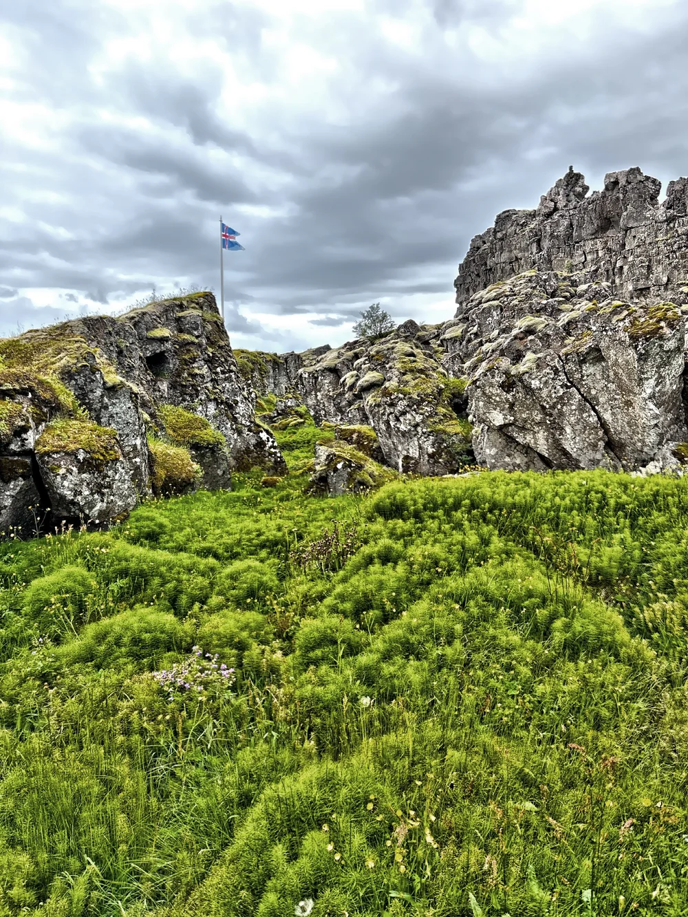  Towering cliffs frame a wide valley with crystal-clear streams and rocky outcrops. 