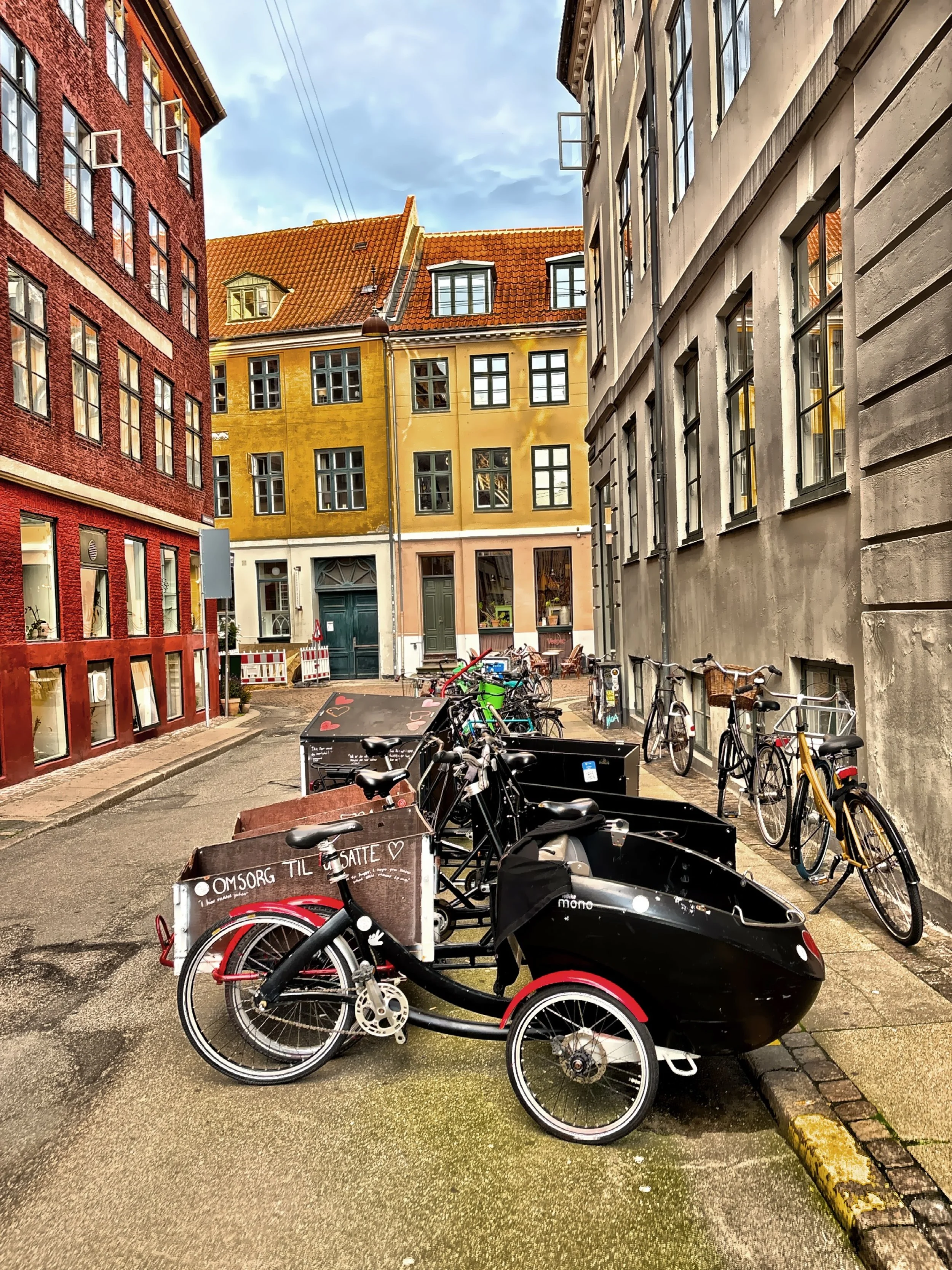  Everyone rides one—suits, students, parents with kids in cargo boxes. 