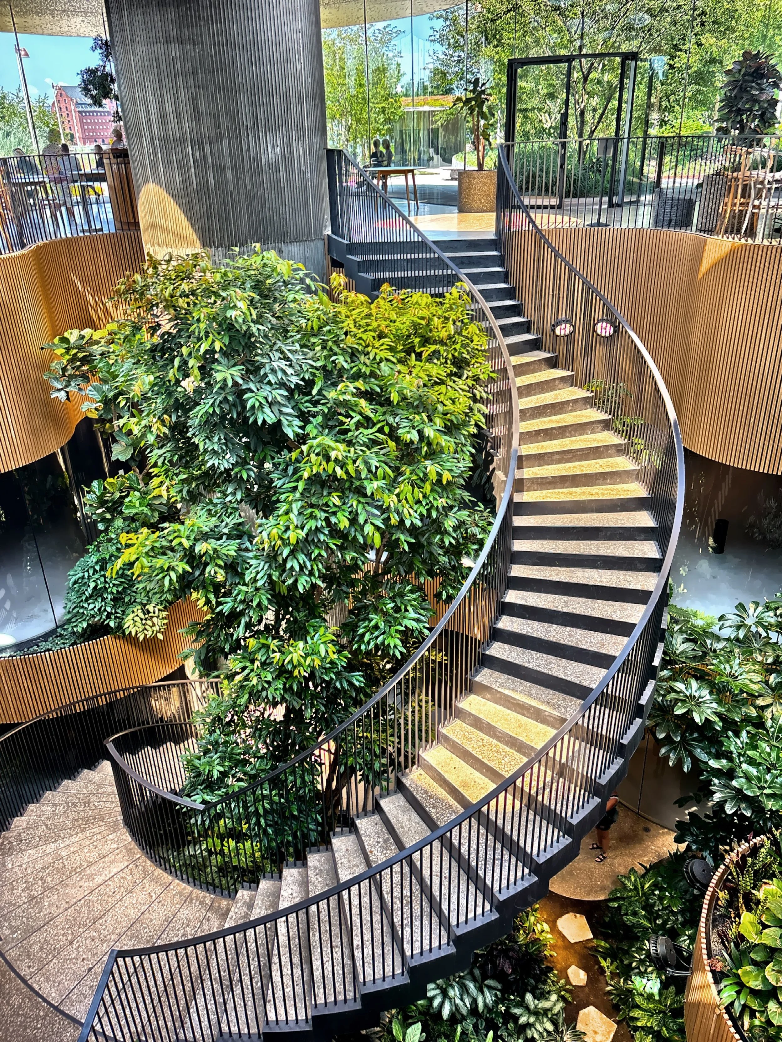  The&nbsp;Subtropical Garden contains citrus, olive, carob, clivia, and a majestic fig tree that is almost 30-feet tall as the focal “soloist.” 