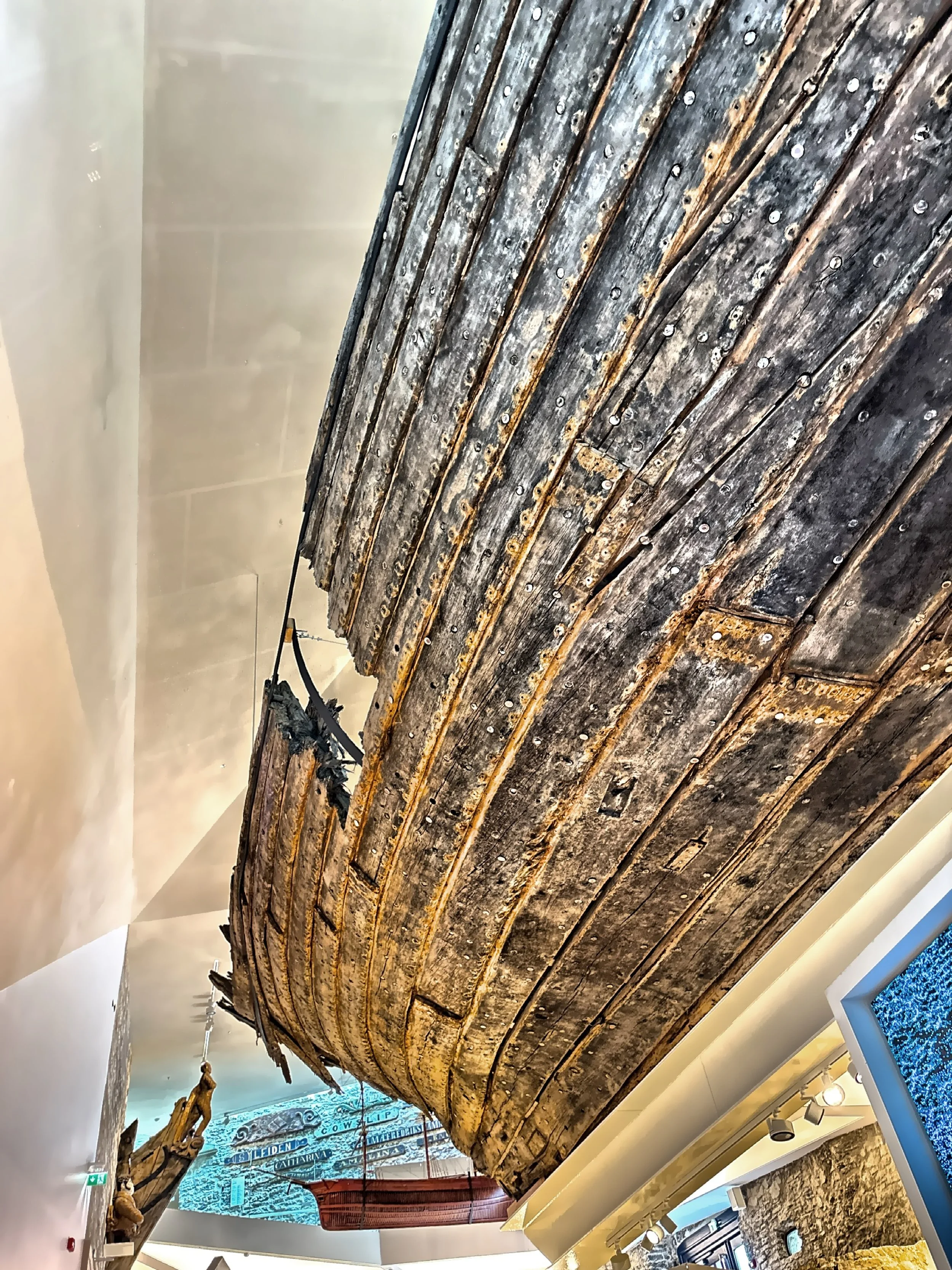  The 700-year-old cog shipwreck 