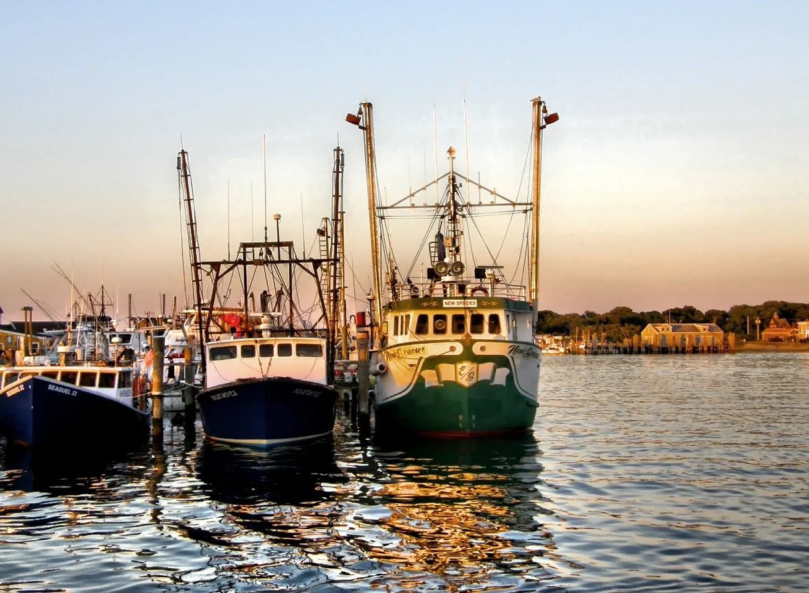  The perfect blend of natural beauty, relaxed coastal charm, and historical richness. 