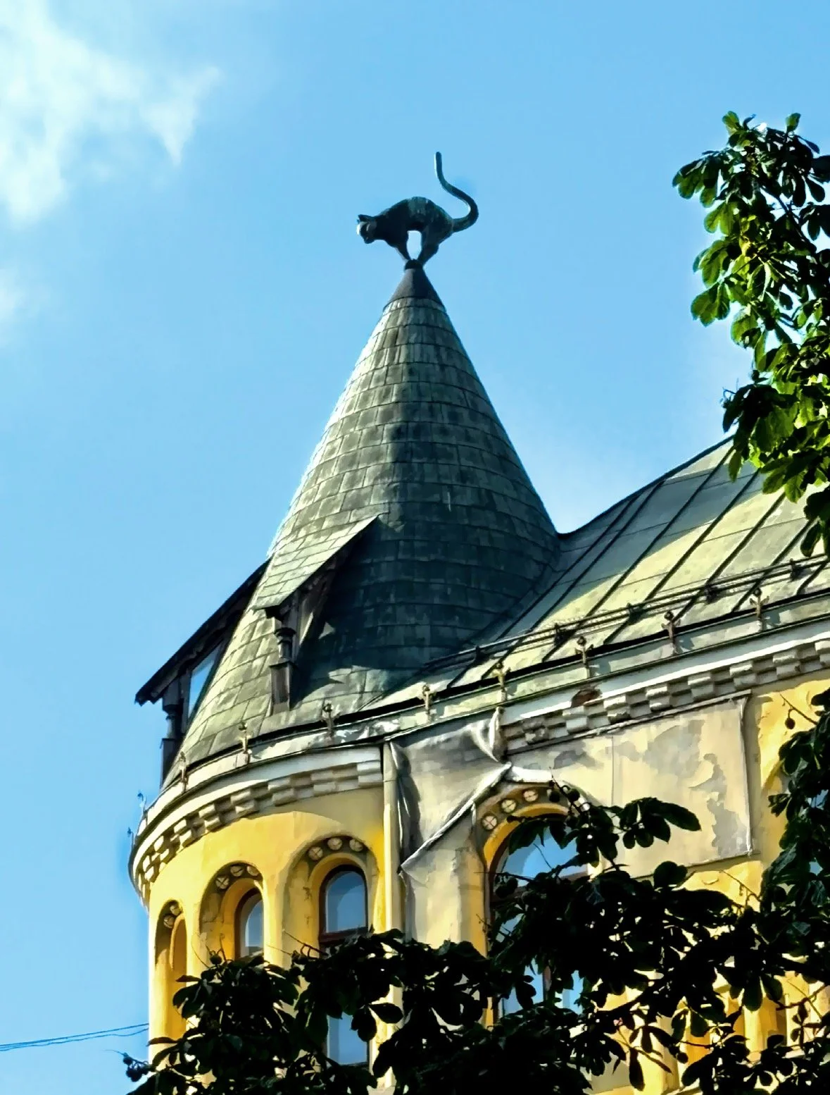  One of the cats on the roof of the Cat House. 