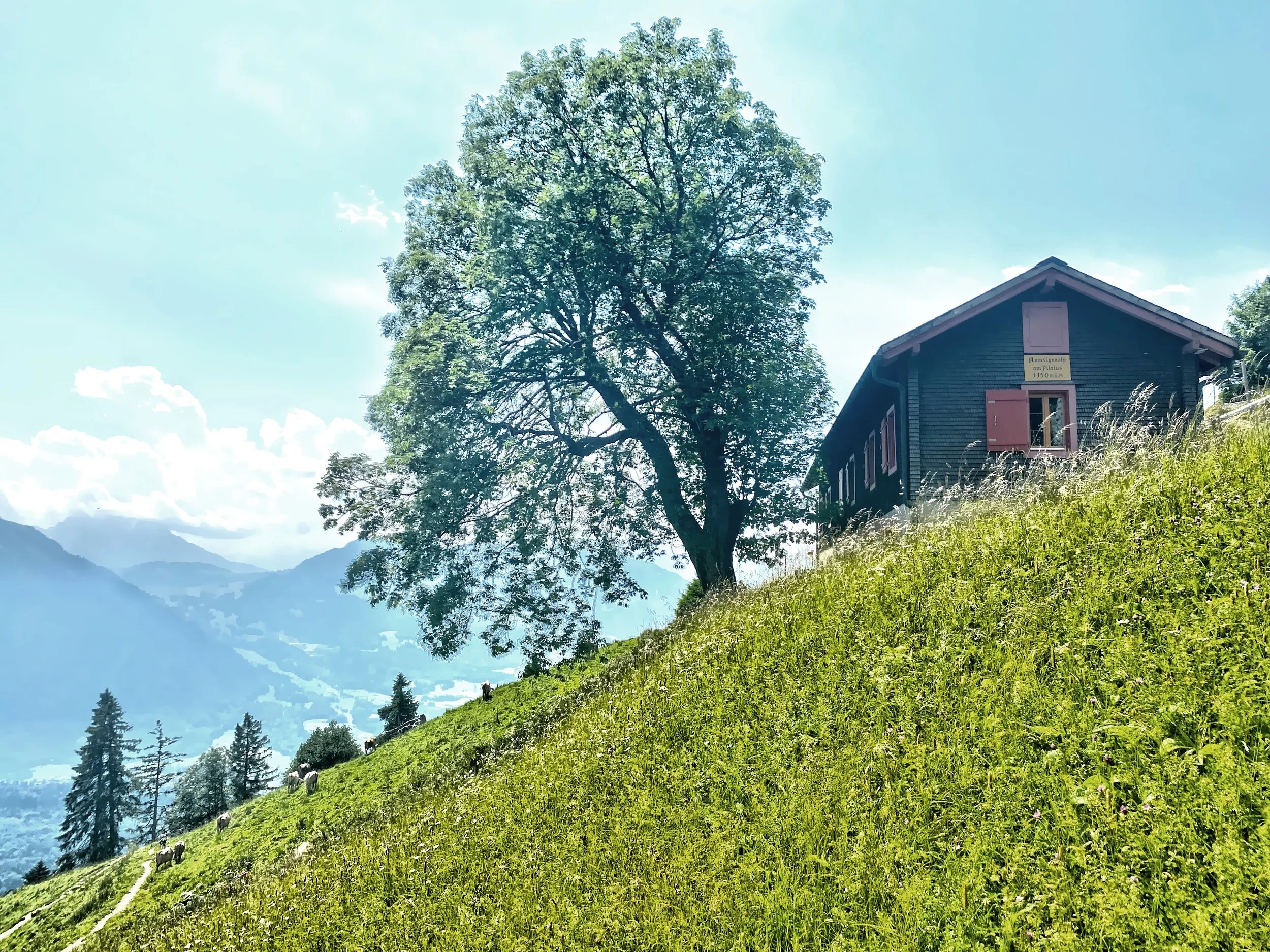  Amazing to see these houses built on the mountain slope. 
