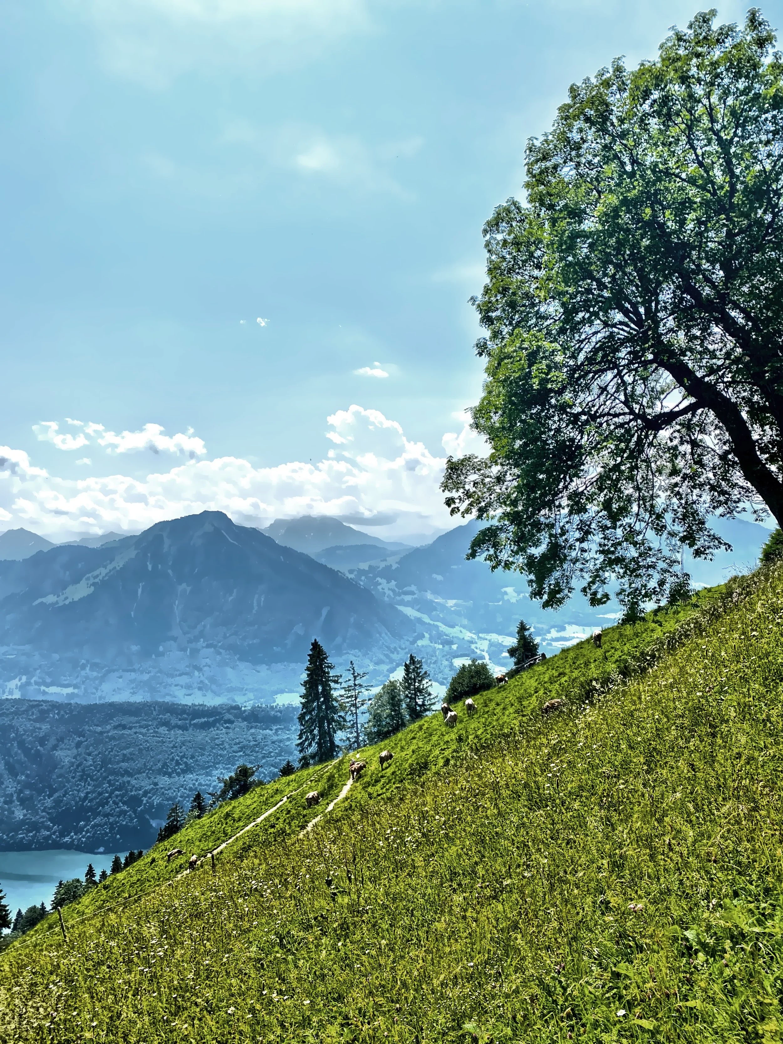  No words needed…nature says it best. 