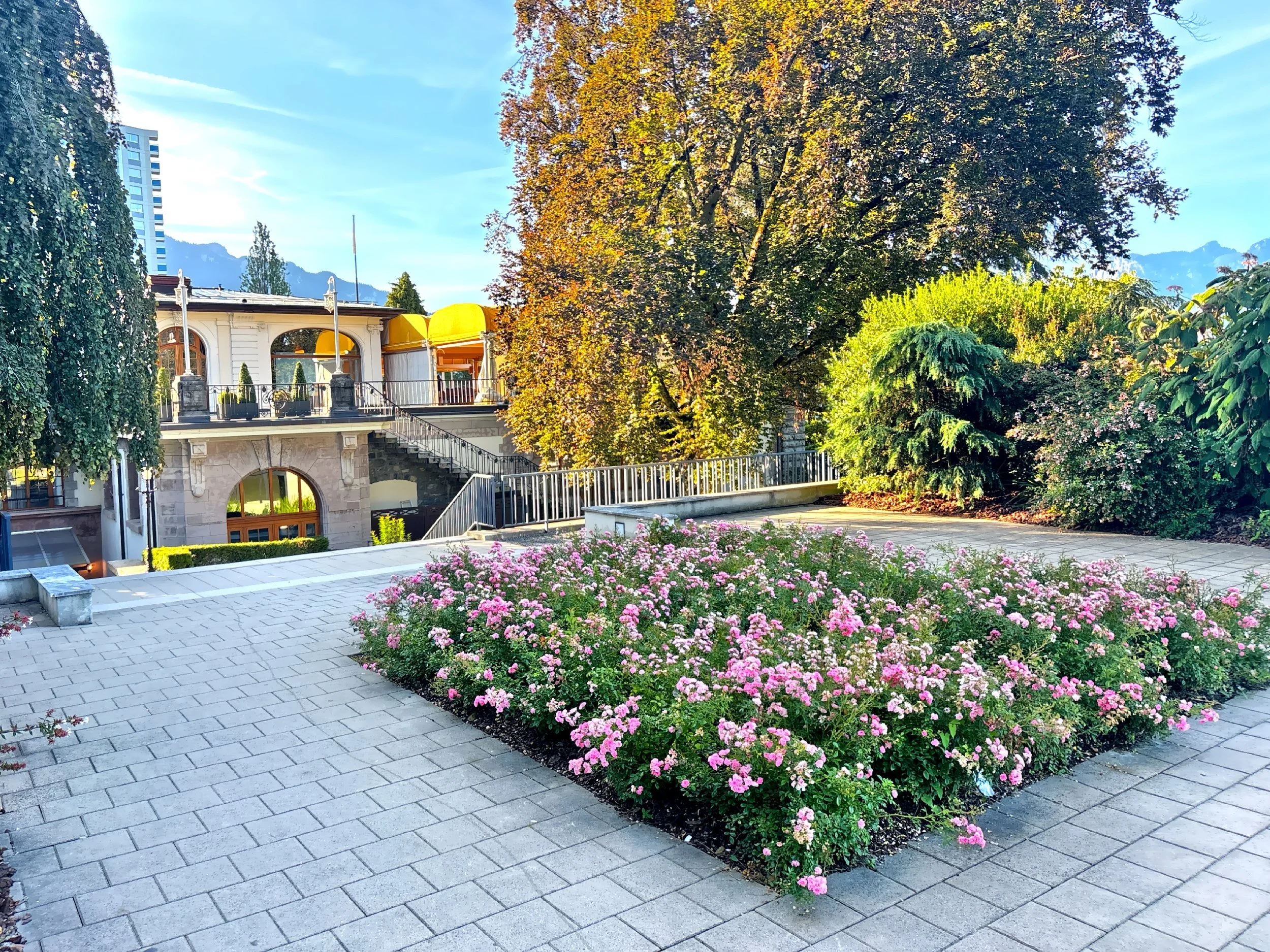  Beautiful gardens tucked away 