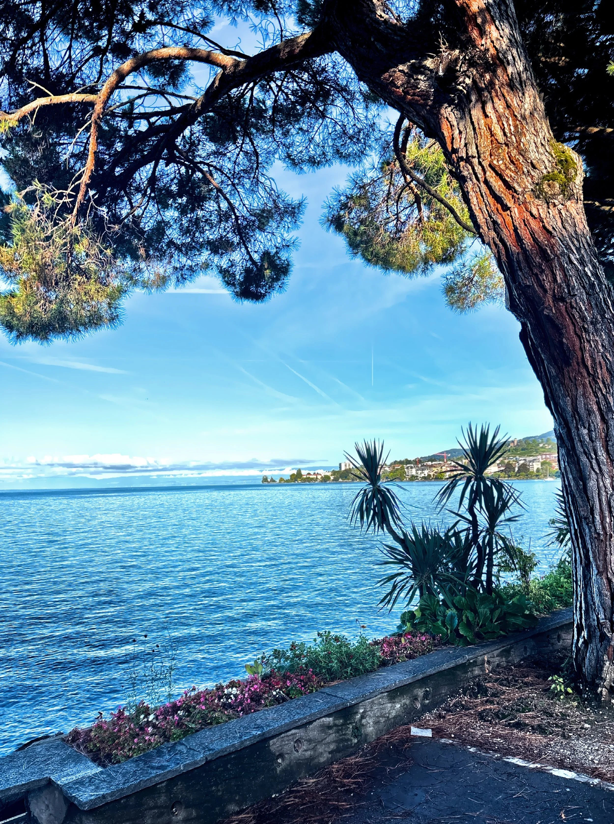  The air is crisp and clean, the vibe is relaxed yet cultured, and everything feels polished without being pretentious. 