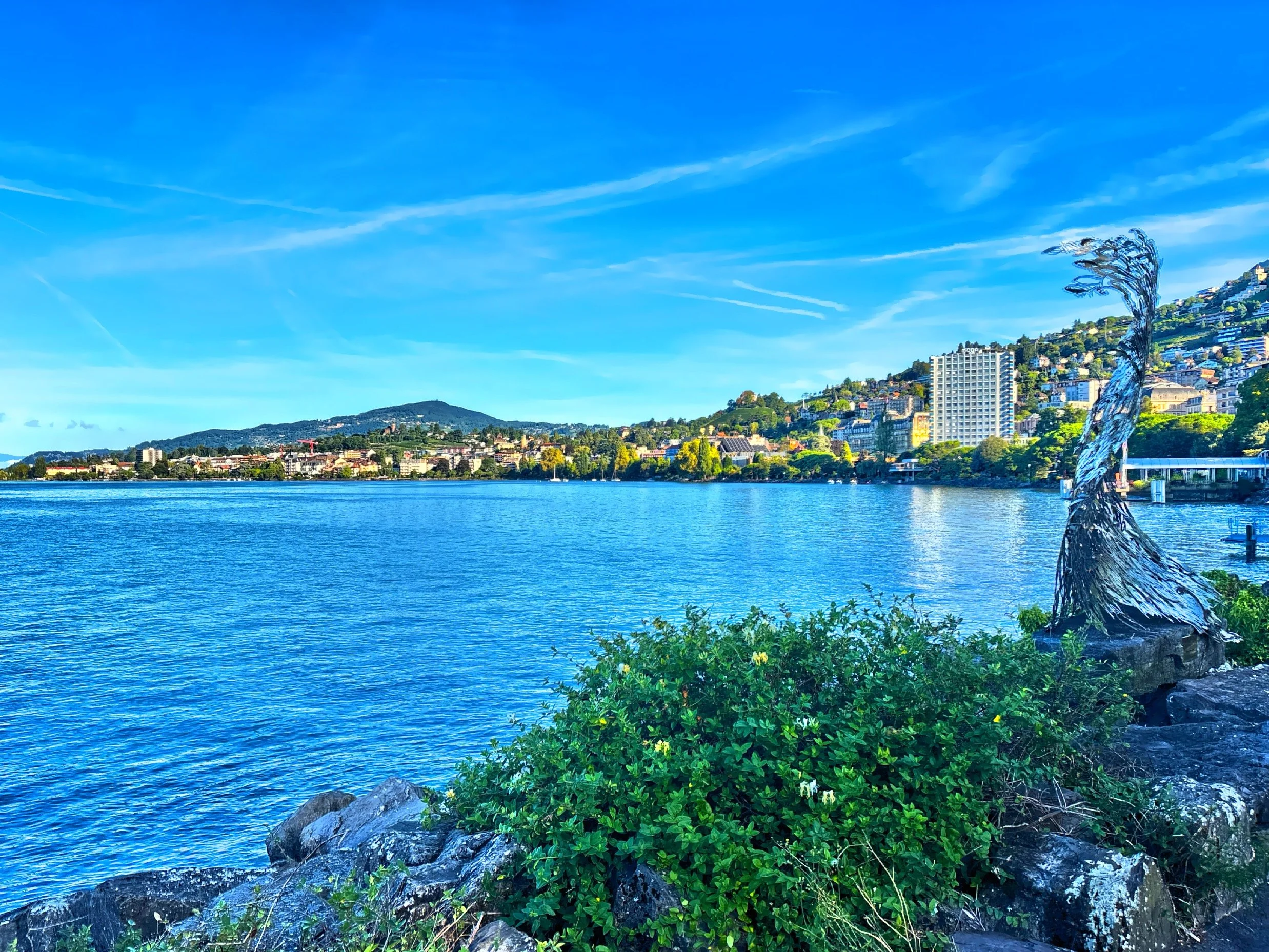  The lyrics of the 1972 classic rock song "Smoke on the Water" by Deep Purple are based on a true story that happened in December 1971 during a Frank Zappa and The Mothers of Invention concert.  Someone fired a flare gun, which set the building on fi