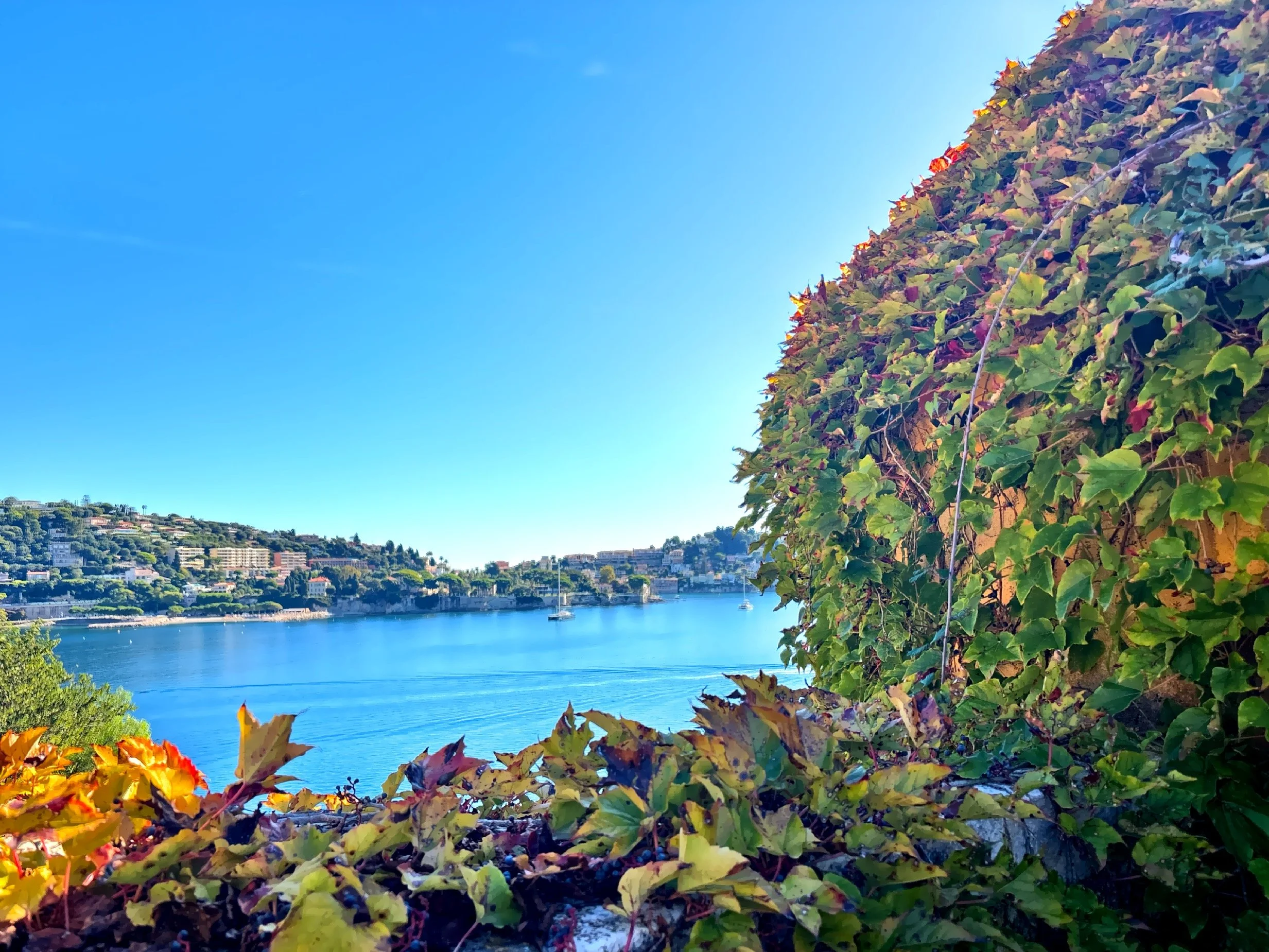  One of the highlights visiting the Citadel is the view of the bay framed by lush green hills and the terracotta roofs of the old town below. 