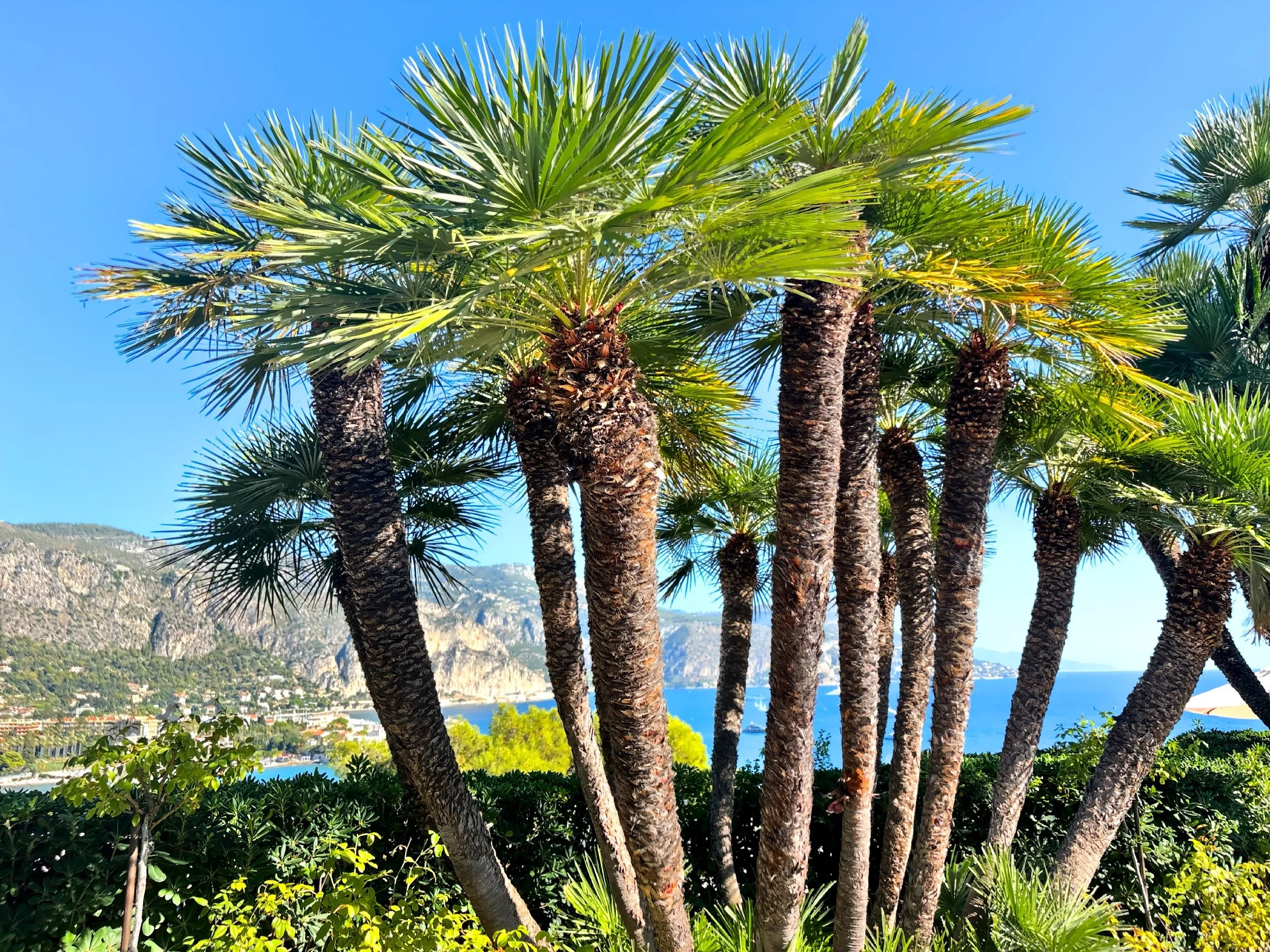  Spread across more than 17 acres atop the crest of Cap Ferrat, the villa’s grounds unfold into nine themed gardens, each inspired by Béatrice’s travels and passions. Together, they transform the rocky peninsula into a series of terraced dreamscapes,