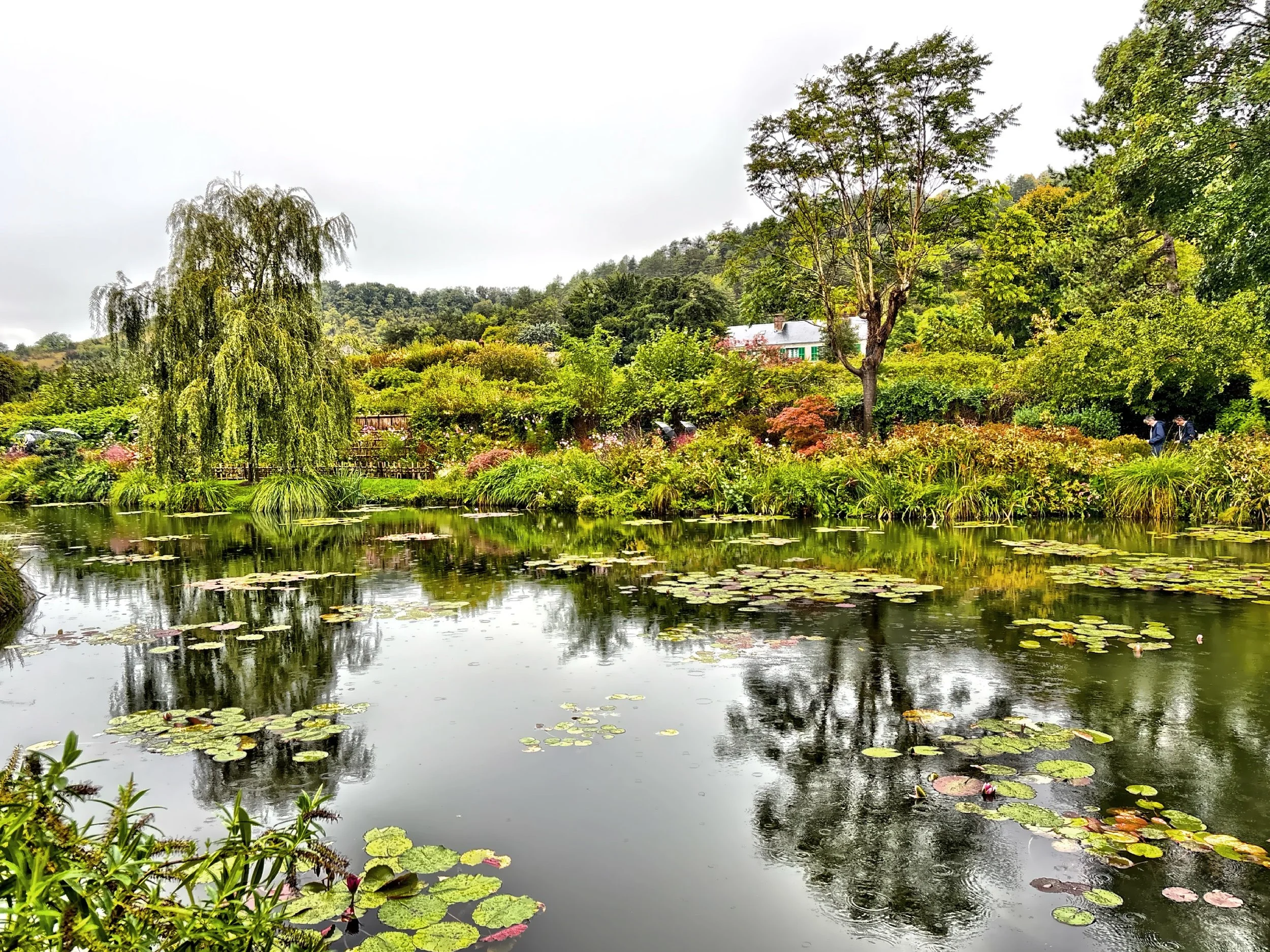  When you arrive at the water garden it’s impossible not to feel a jolt of recognition. You’re standing inside the frame of one of the world’s most famous paintings.  