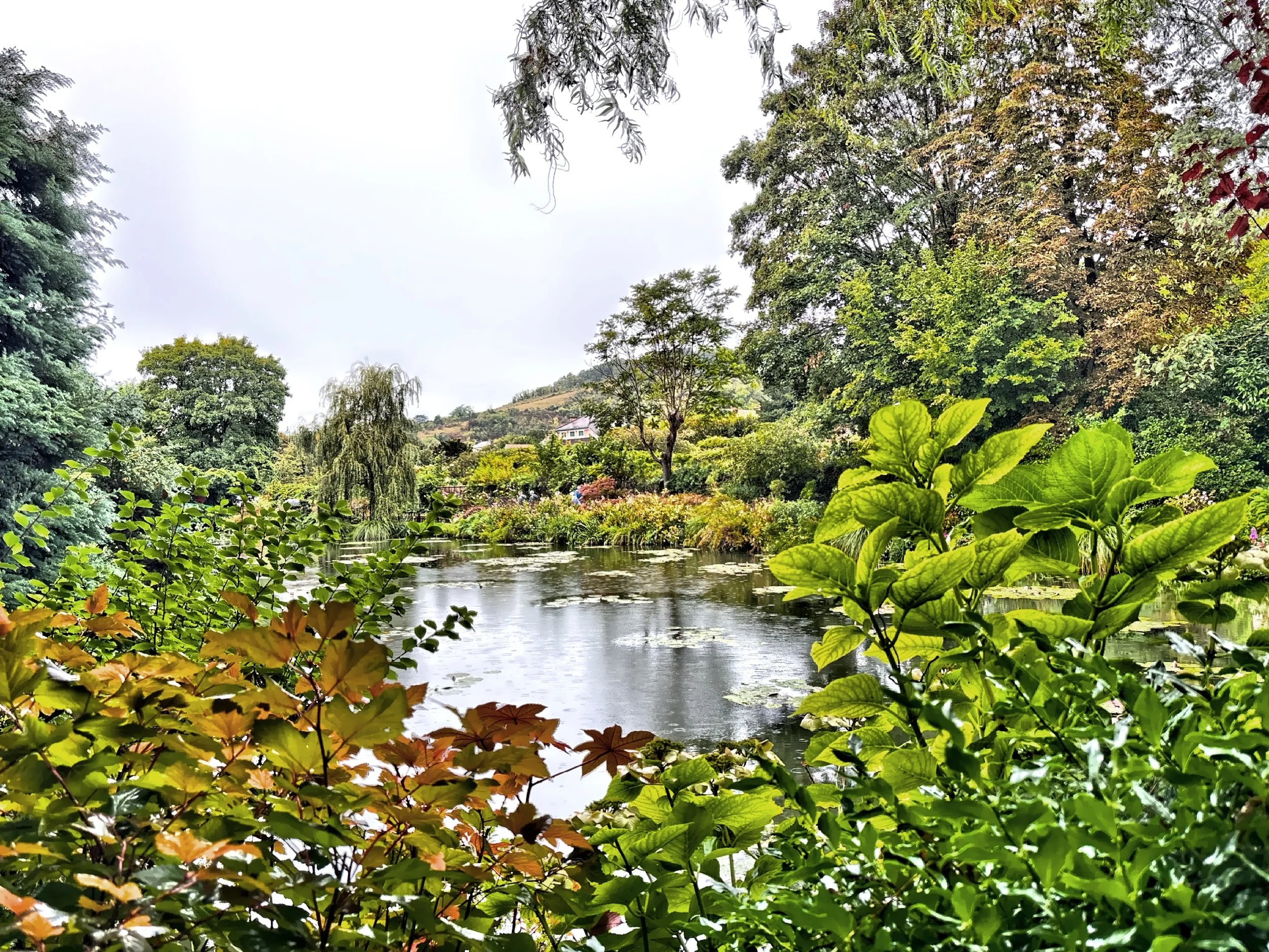  Following the narrow paths around the water’s edge, and the perspective keeps changing every few steps — a trick Monet studied obsessively.  